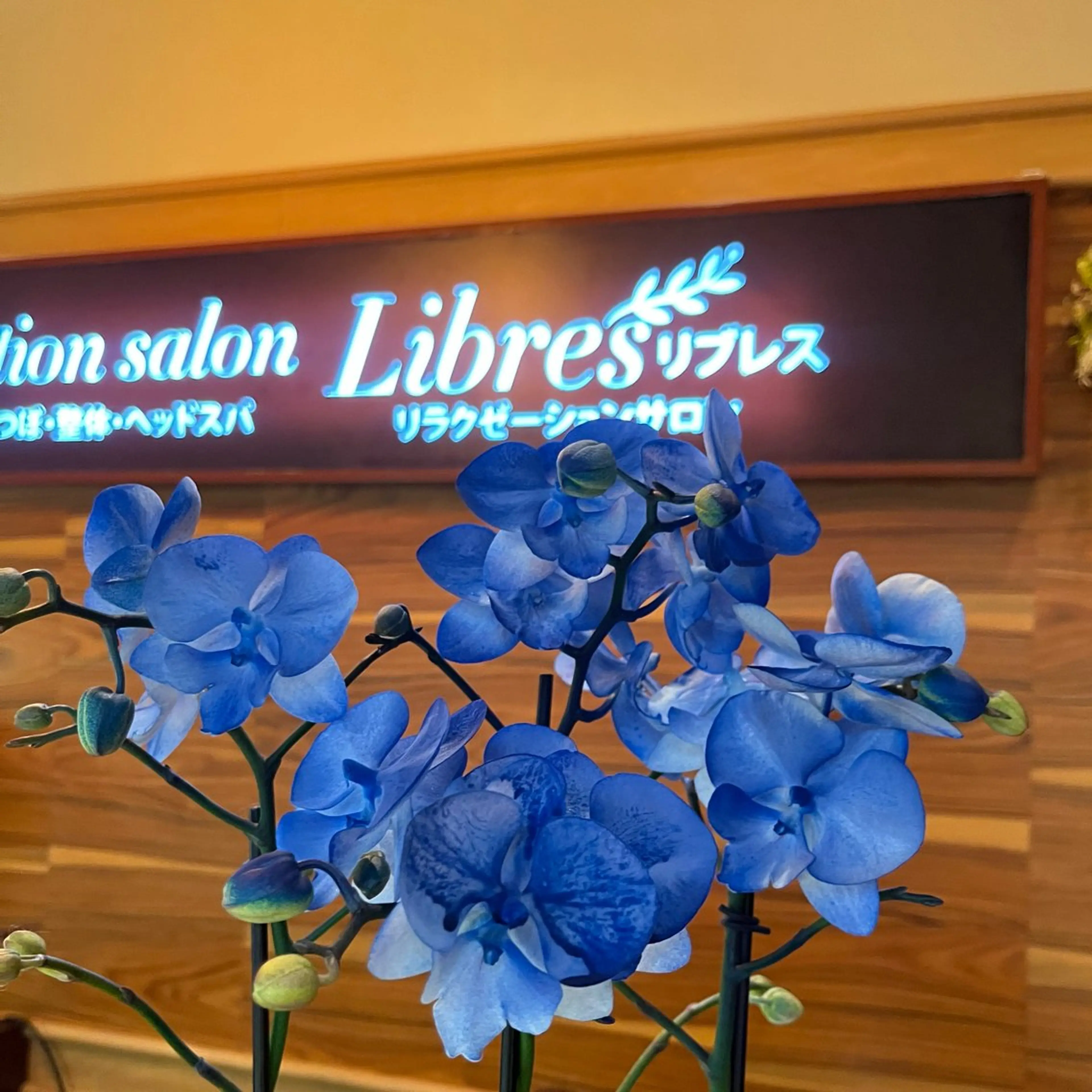 アロマリンパ・足湯 リブレス・ヒメイのエステ・リラクイメージ