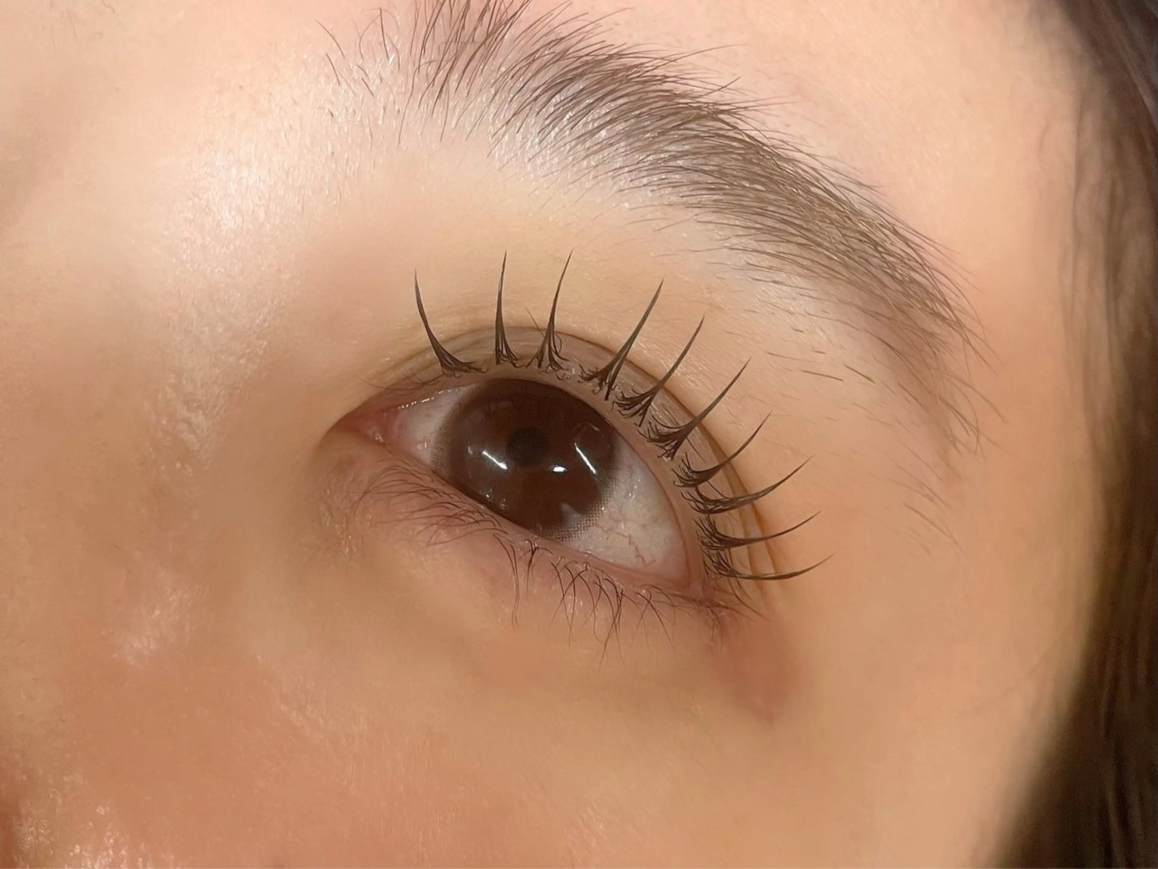 マツエク・マツパ ナチュラル 一重×まつ毛パーマ フリラ天王寺 yukiのマツエク・マツパデザイン