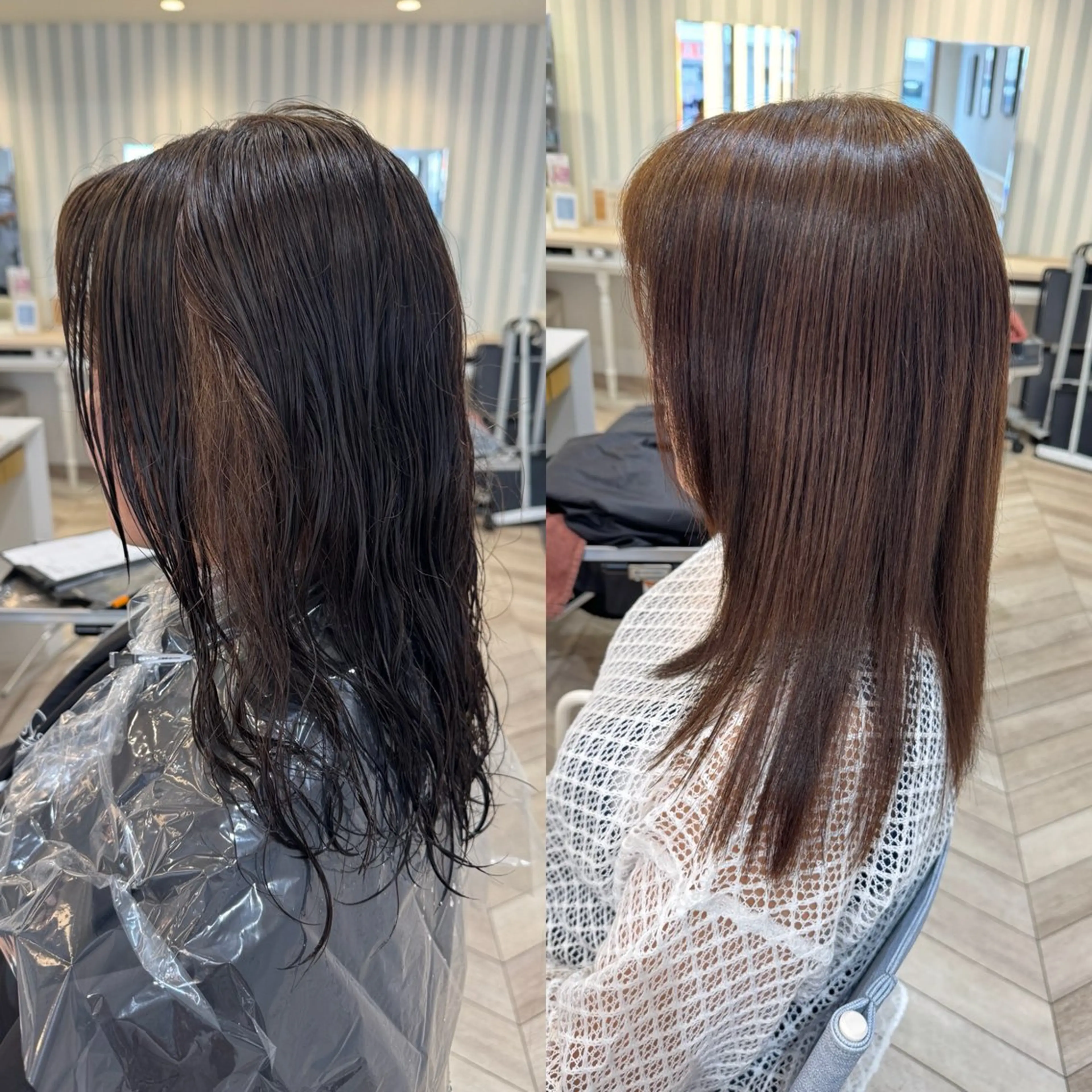 セミロング カット 縮毛矯正 トリートメント 縮毛矯正/白髪ぼかし ショートボブ/鈴木のヘアスタイル