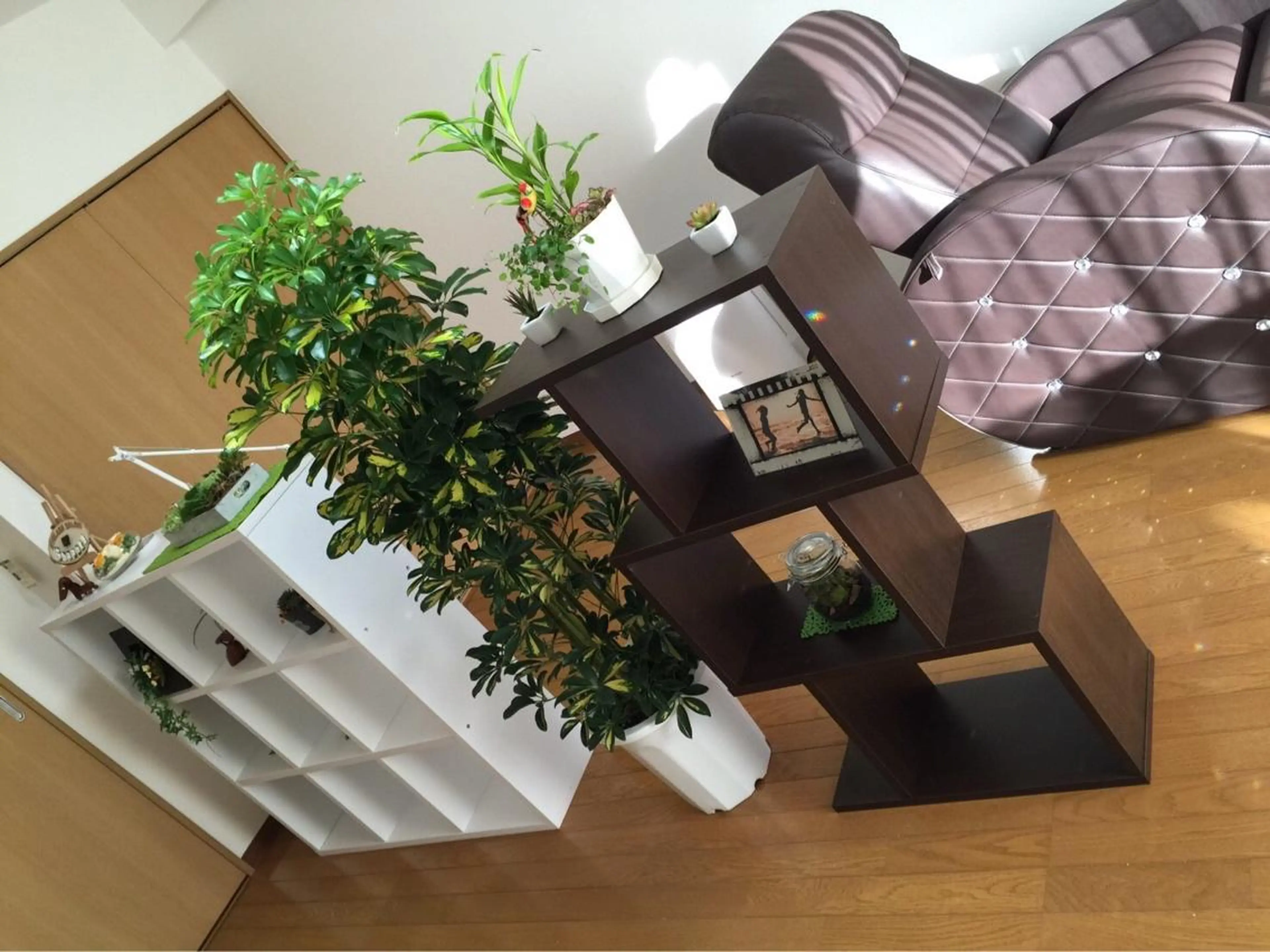 Shapely シェイプリーのマツエク・マツパデザイン