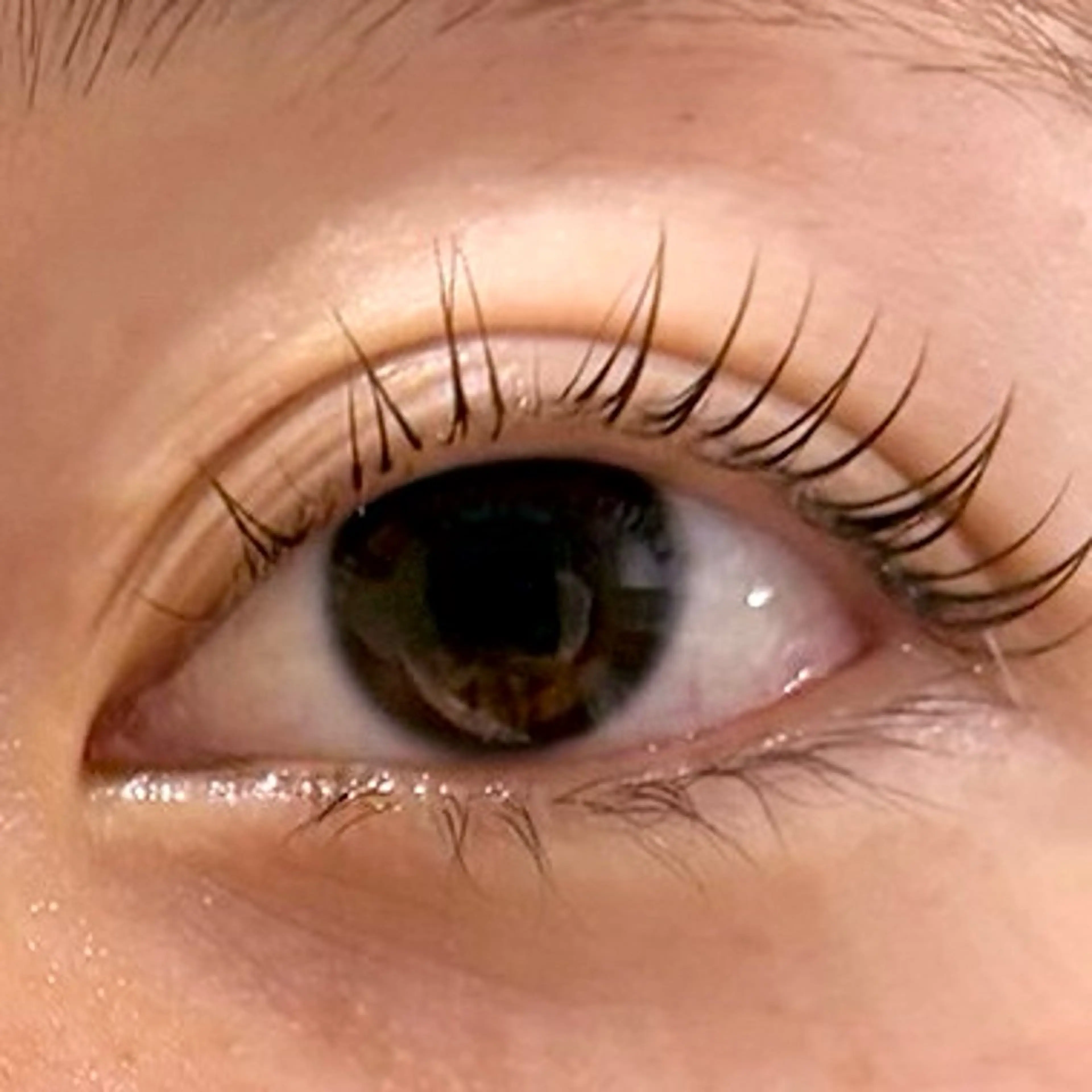 ☆練習モデル☆ パリジェンヌラッシュリフト※補足説明を必ずお読み下さい。の写真