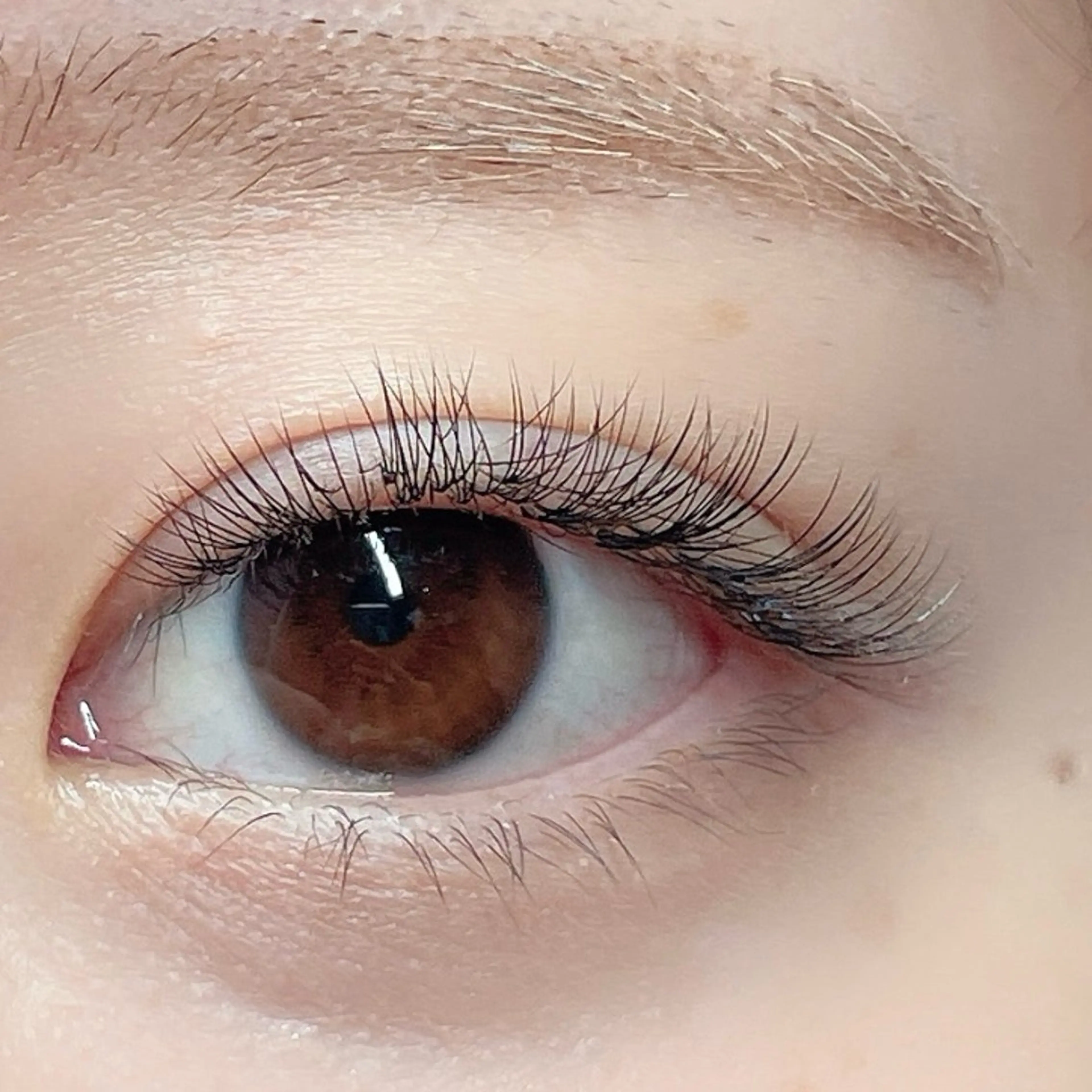 マツエク・マツパ HEROINE   eyelash &eyebrow所属・堀田 寛子の眉毛・アイブロウイメージ