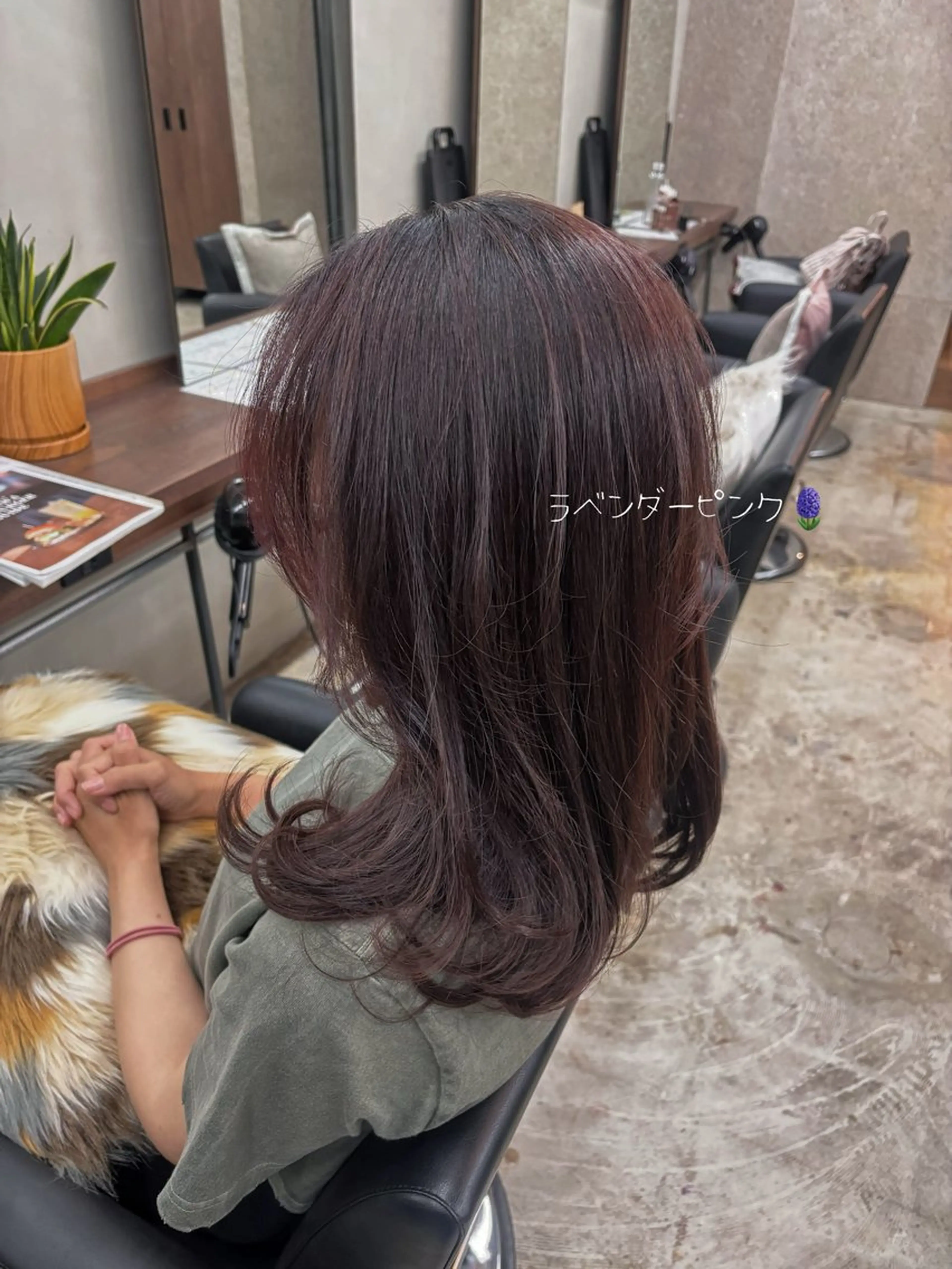 カラー ラベンダーカラー ラベンダーピンク ピンクカラー ショートモデル大募集 /  ウエチ　モモカのヘアスタイル