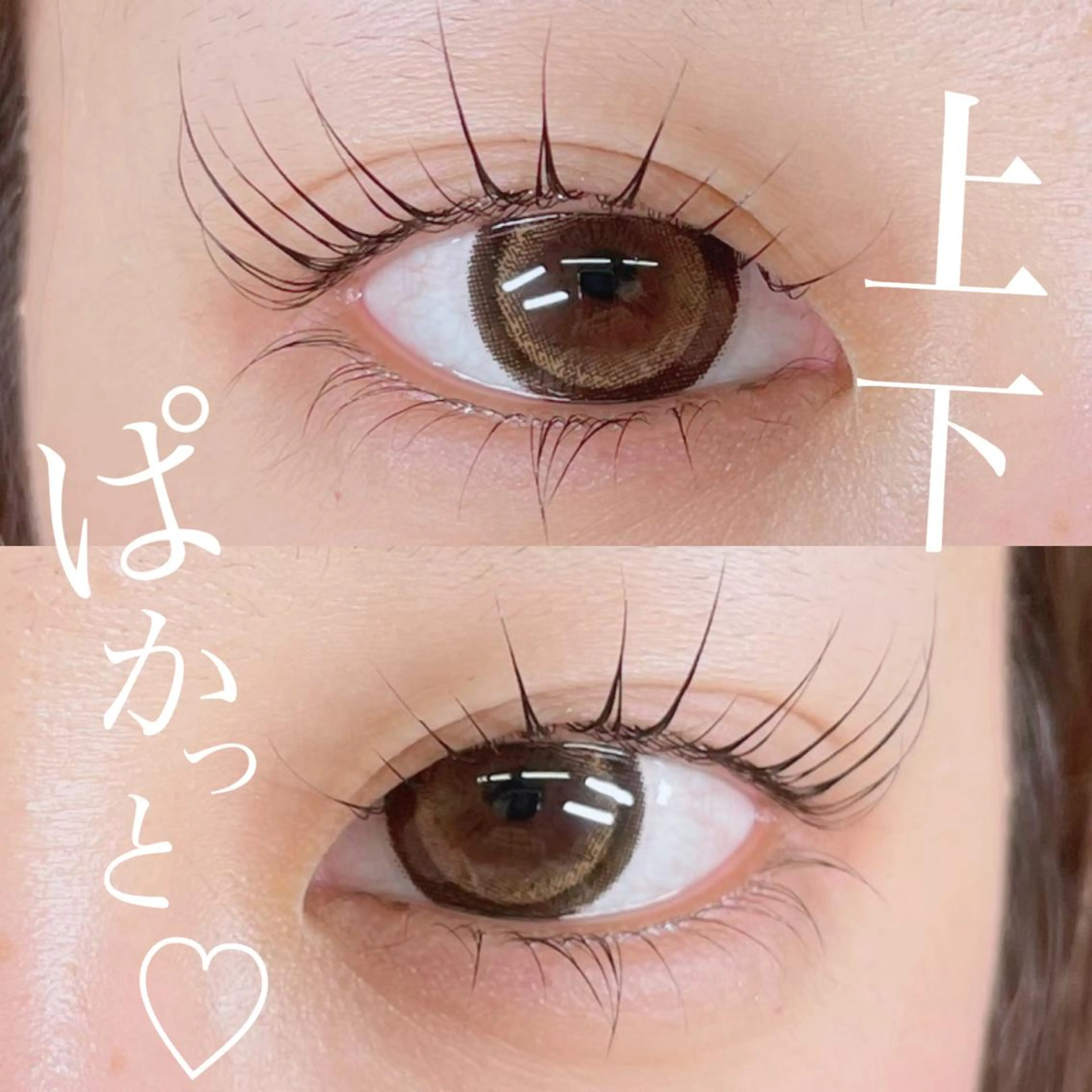 マツエク・マツパ 🥀Saito Tomomi🥀のマツエク・マツパデザイン