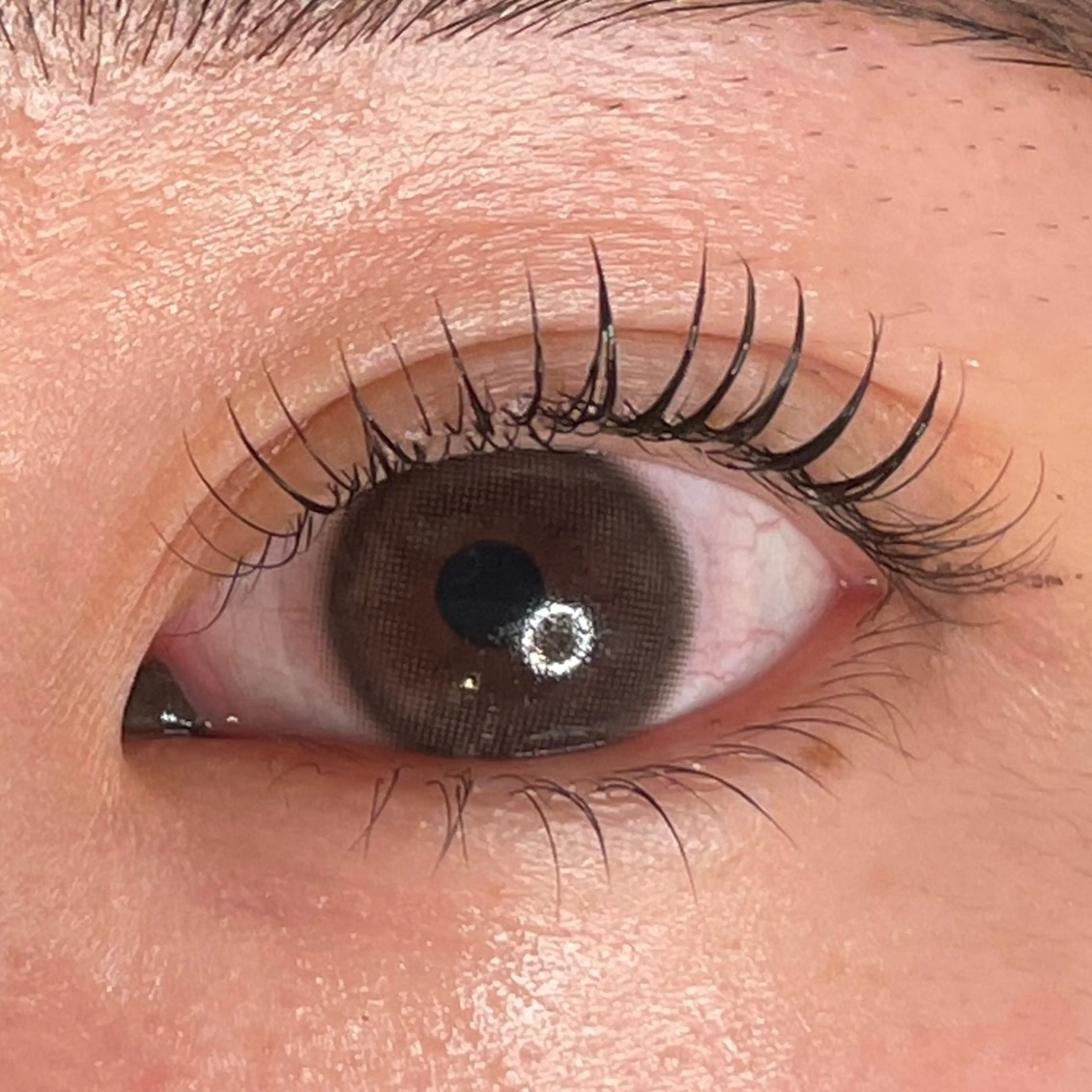 🤍まつ毛パーマ(コスメラッシュリフト)の写真