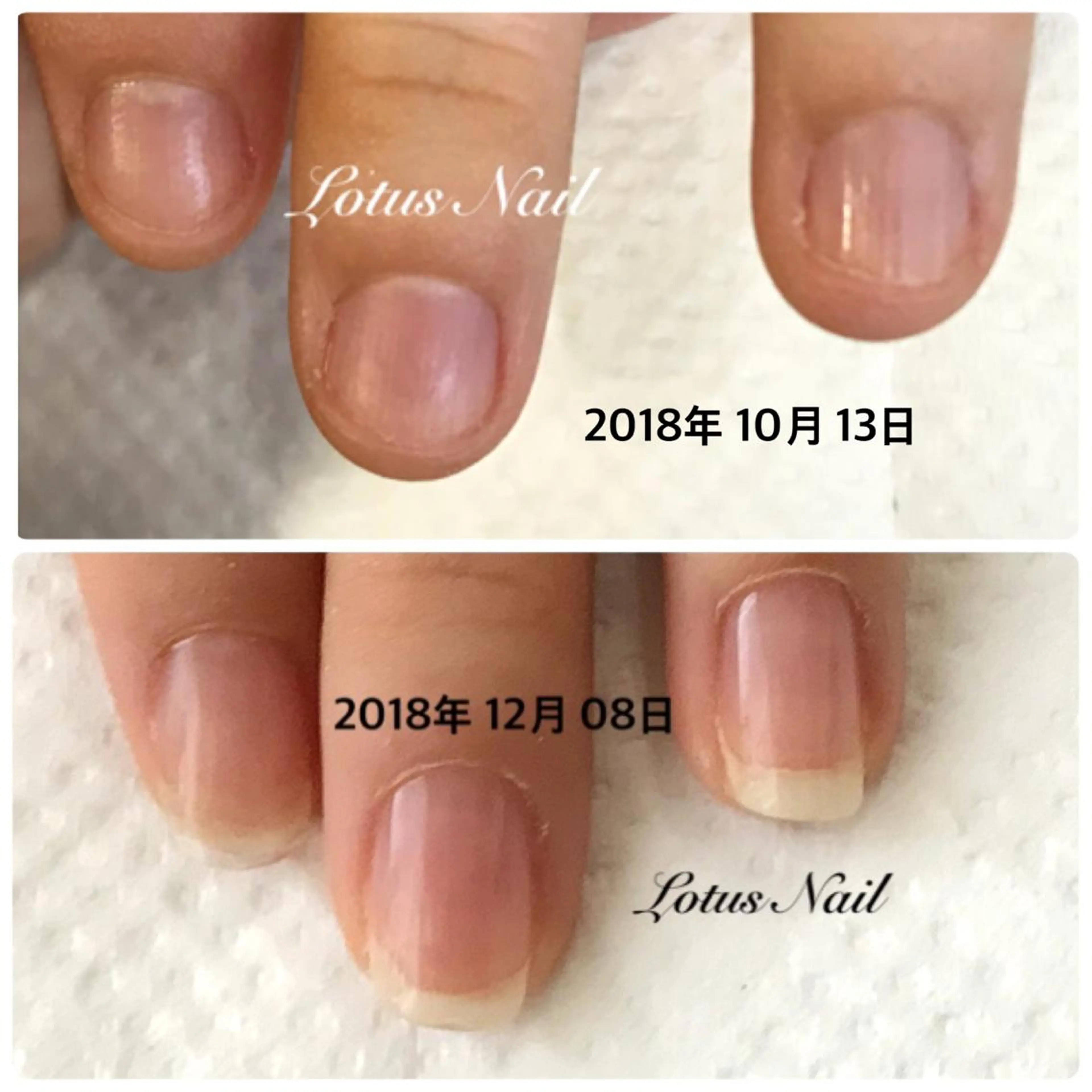 ネイル ハンドネイル Lotus Nailのネイルデザイン