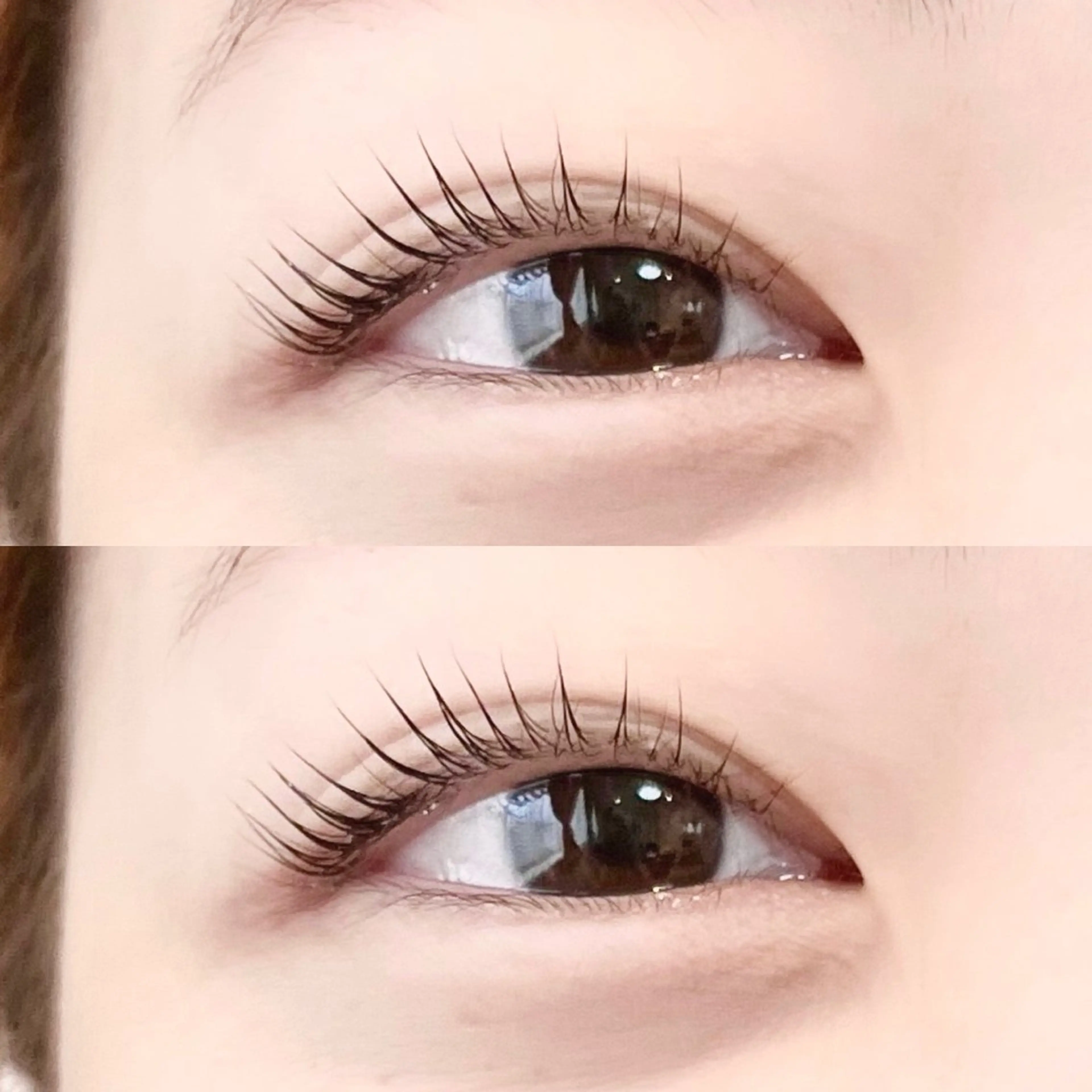 〖ご新規様限定〗ラッシュリフト👀💕すっぴん美人に🦋✨の写真