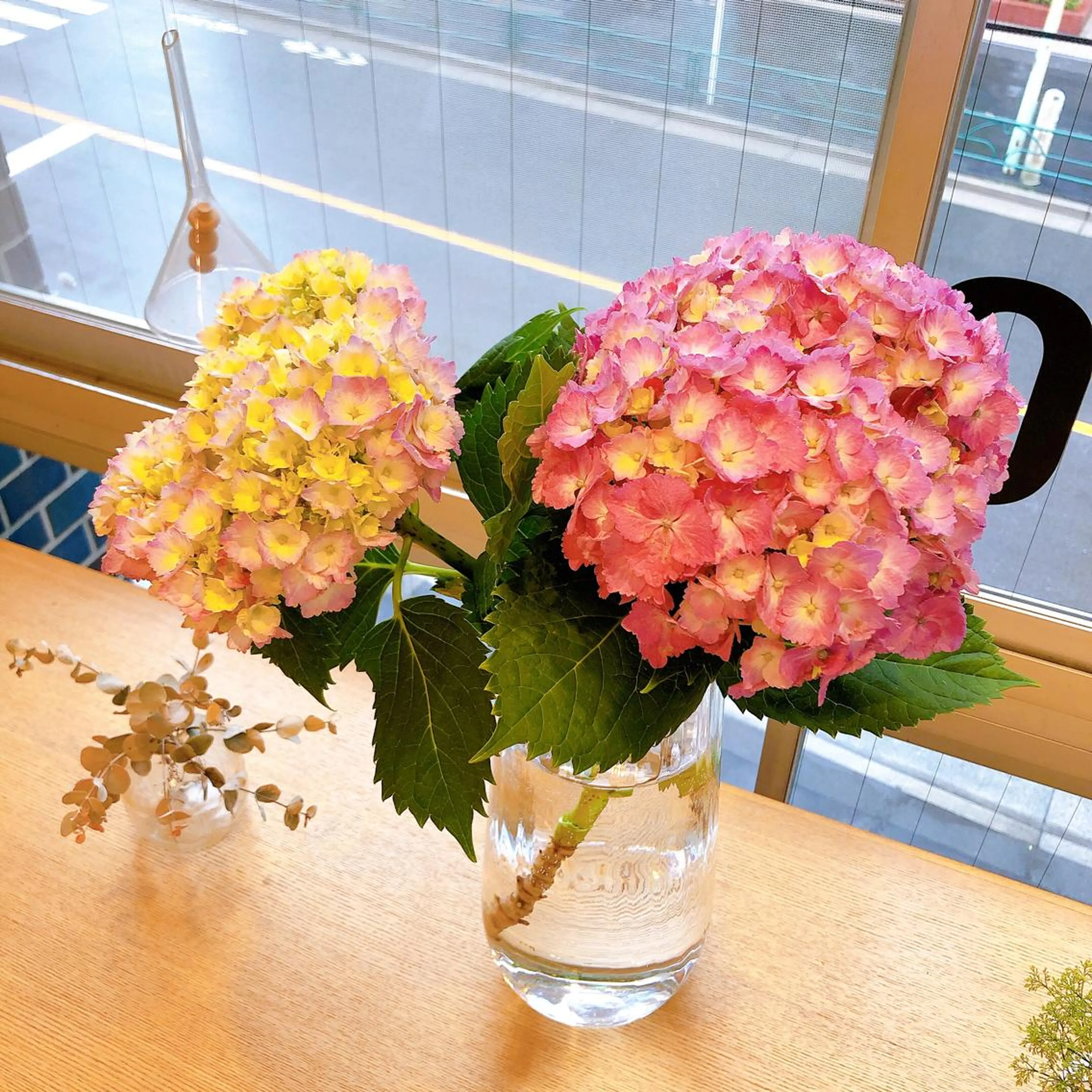 マツエク・マツパ なかむら 🪡のマツエク・マツパデザイン