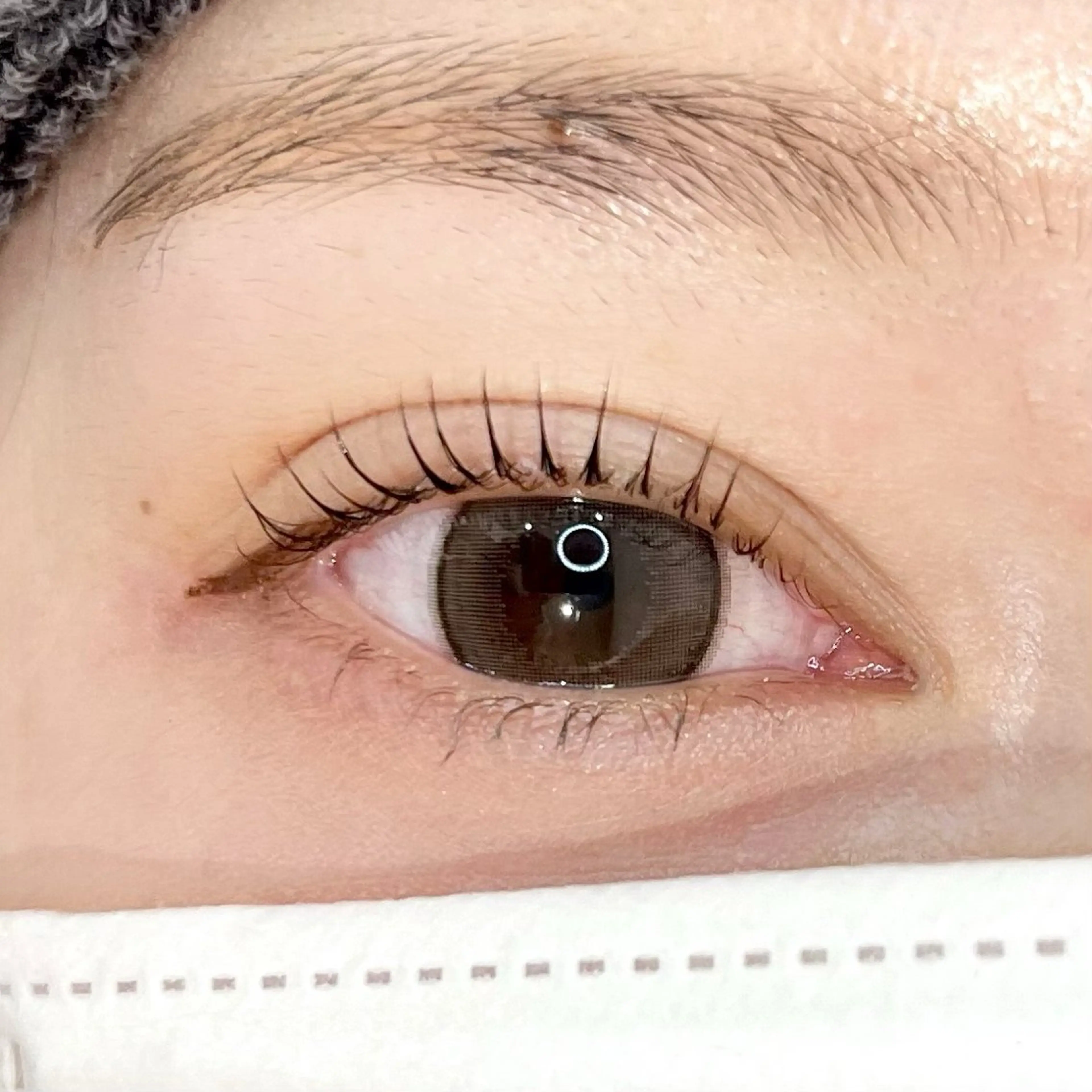 ❄️パリジェンヌラッシュリフト❄️の写真