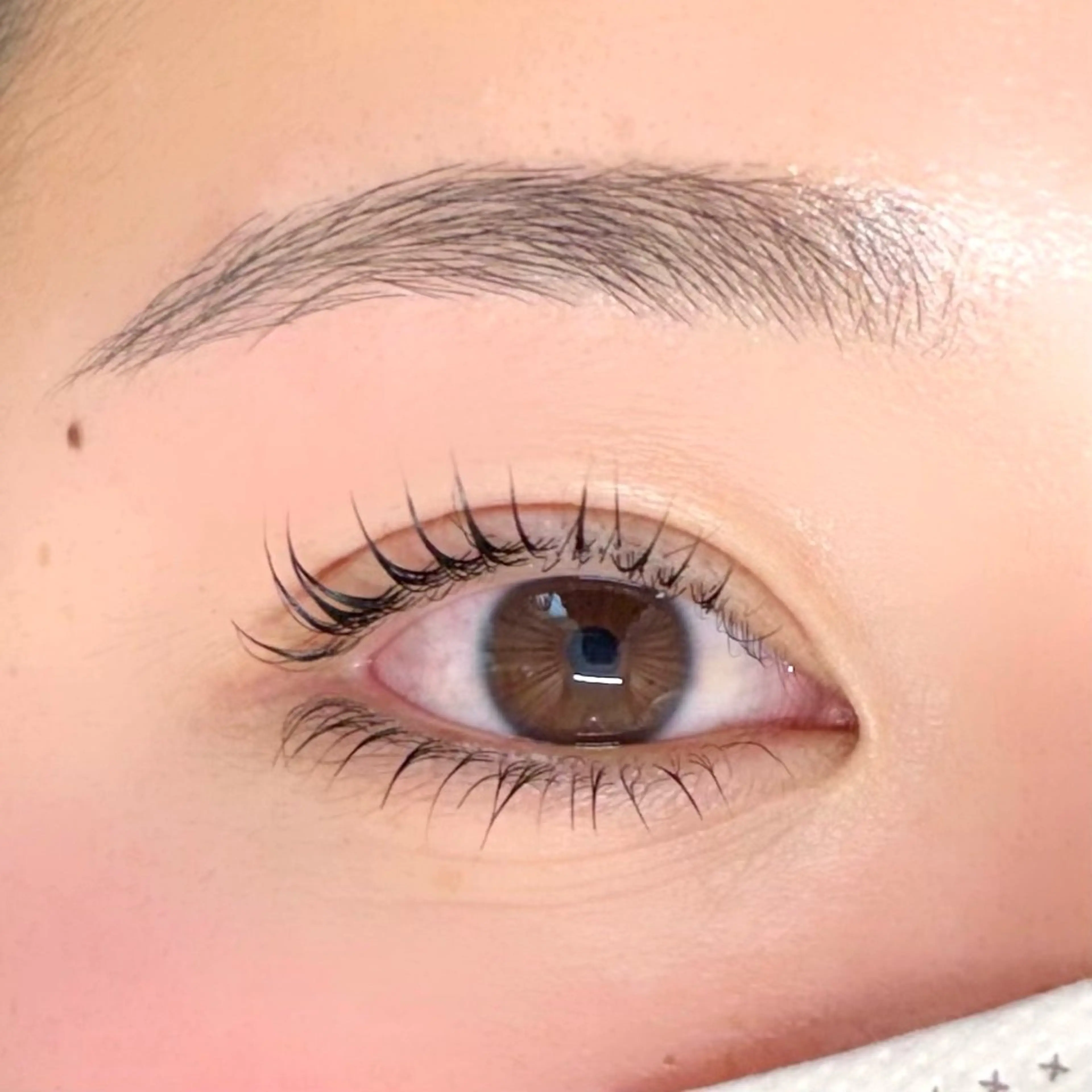 【set menu ᧔𐓪᧓】🧾上下ラッシュリフト+eyebrow wax eye treatment付の写真