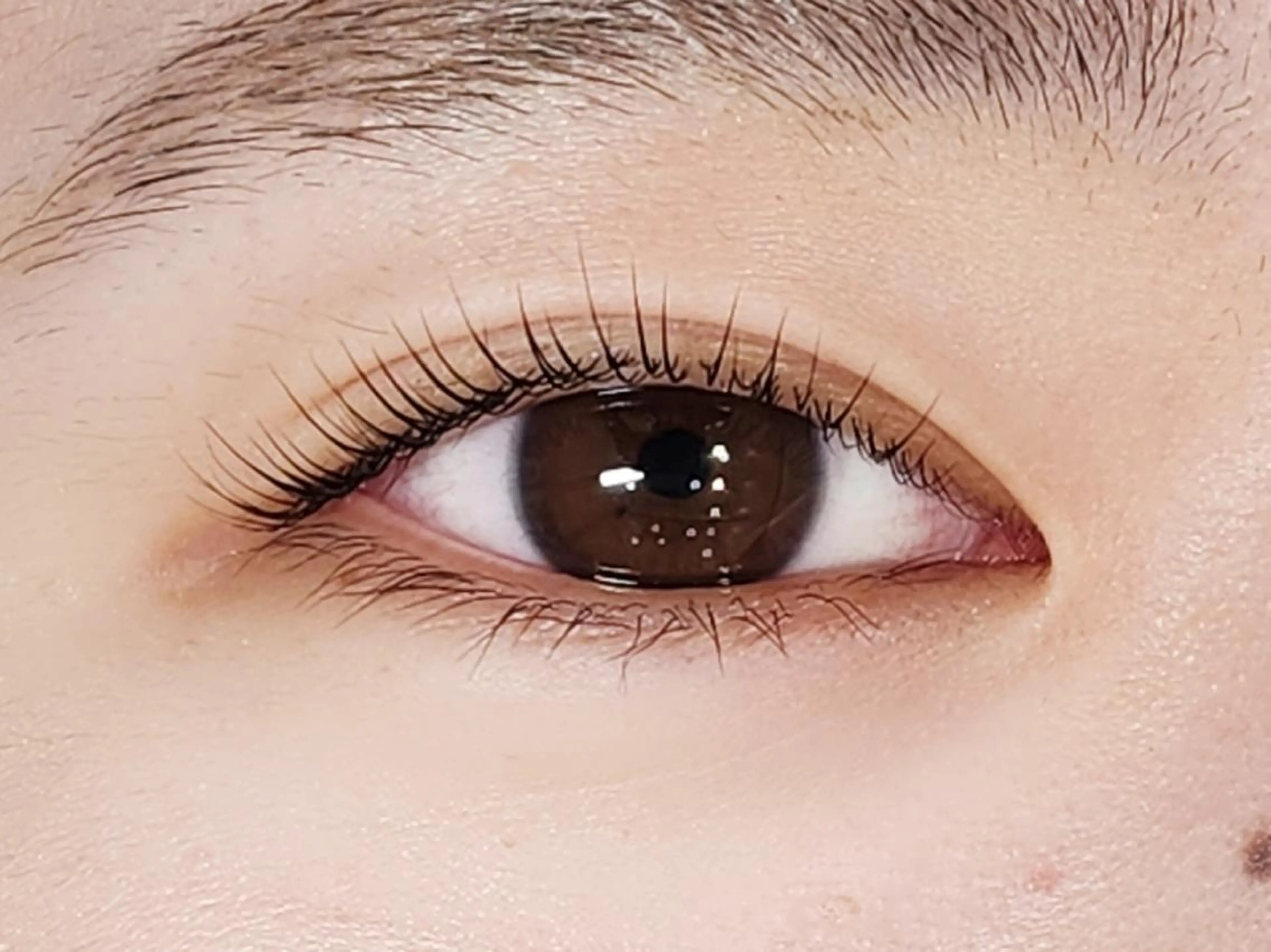 マツエク・マツパ マツパ EARTH/A草津店 AYAKAのマツエク・マツパデザイン