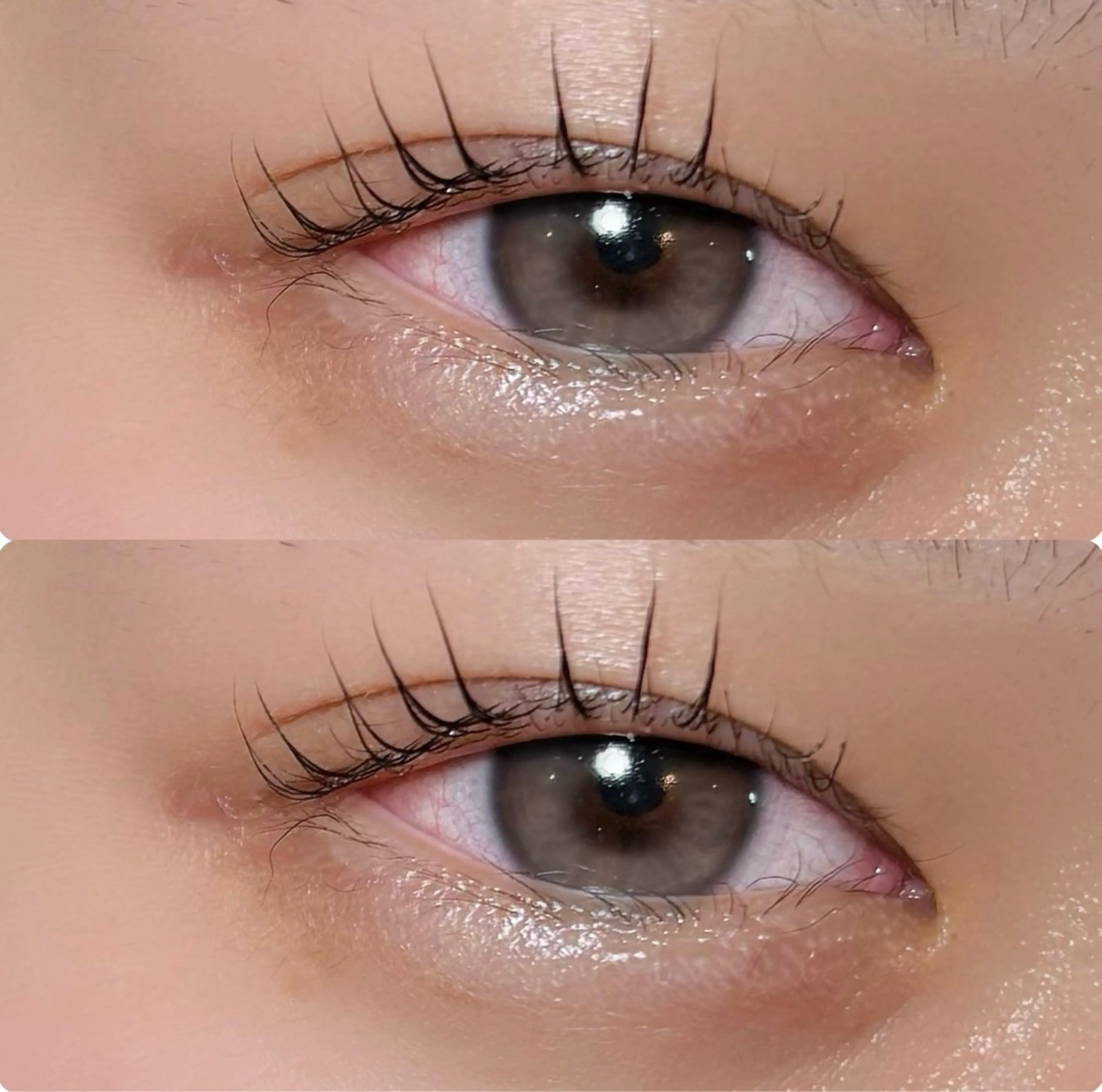 マツエク・マツパ meguru／マツパ ／マツエク／束感のマツエク・マツパデザイン