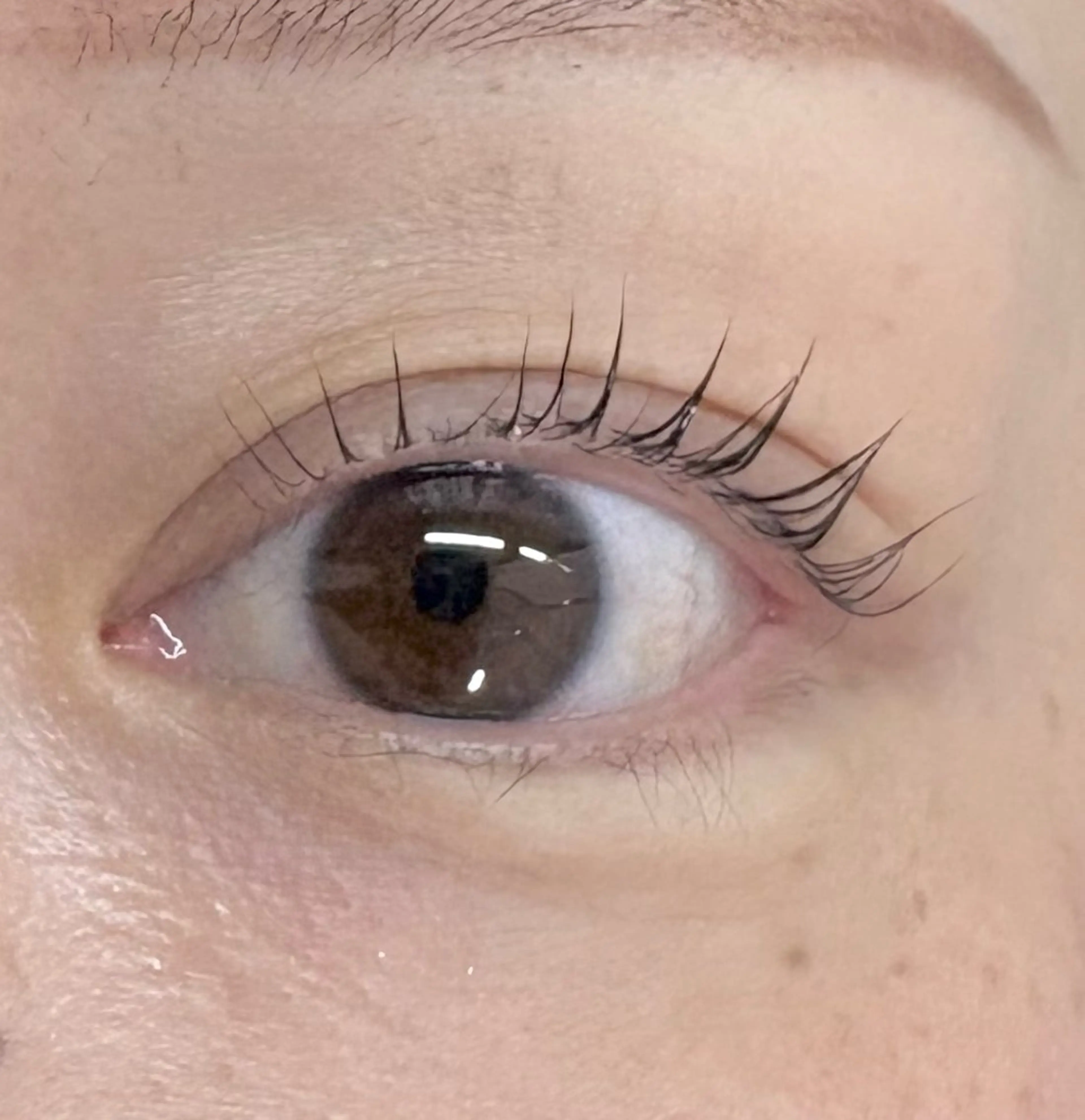 マツエク・マツパ Holus Moriguchiのマツエク・マツパデザイン