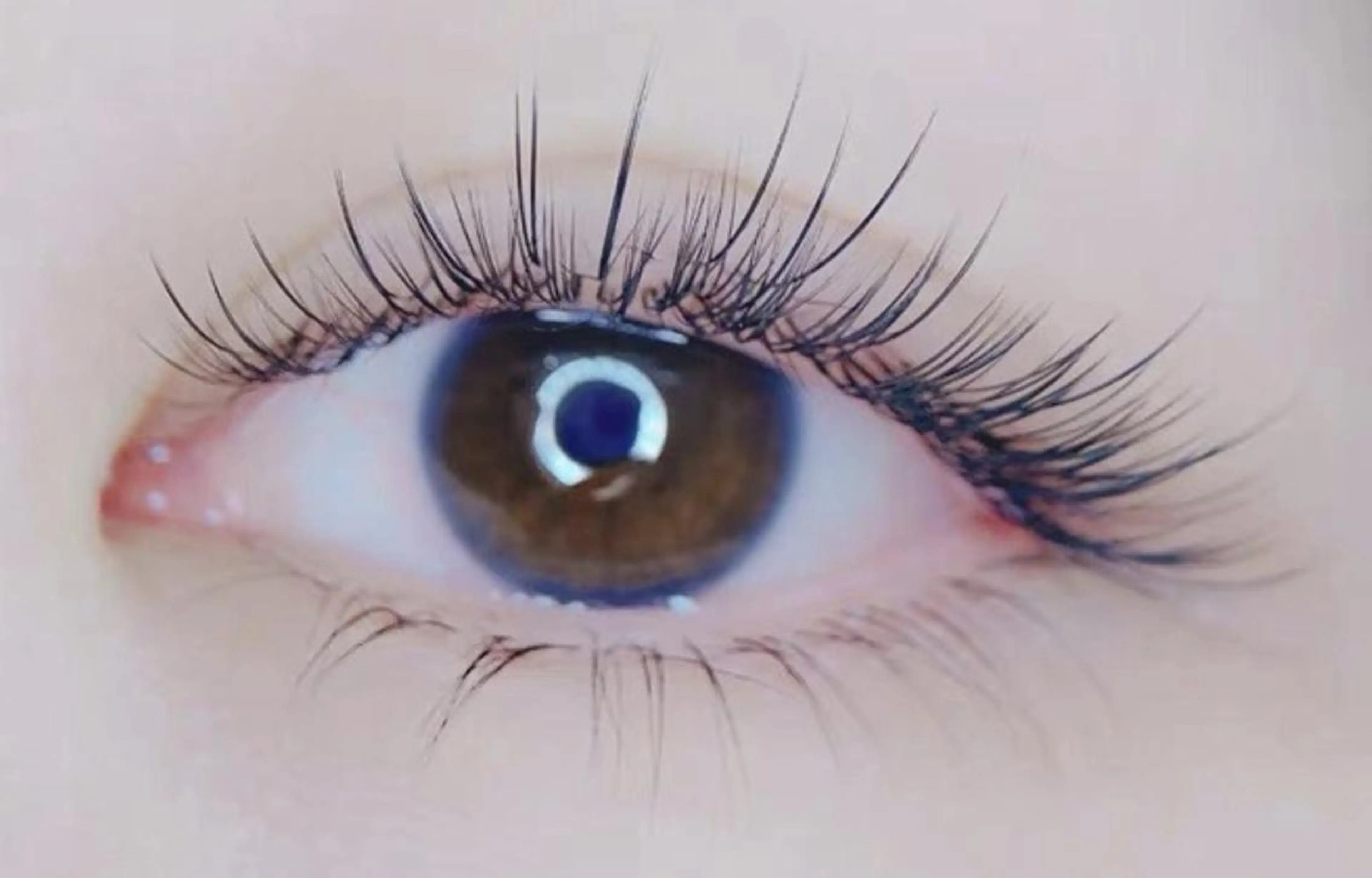 マツエク・マツパ ネイル Cute beauty2のマツエク・マツパデザイン