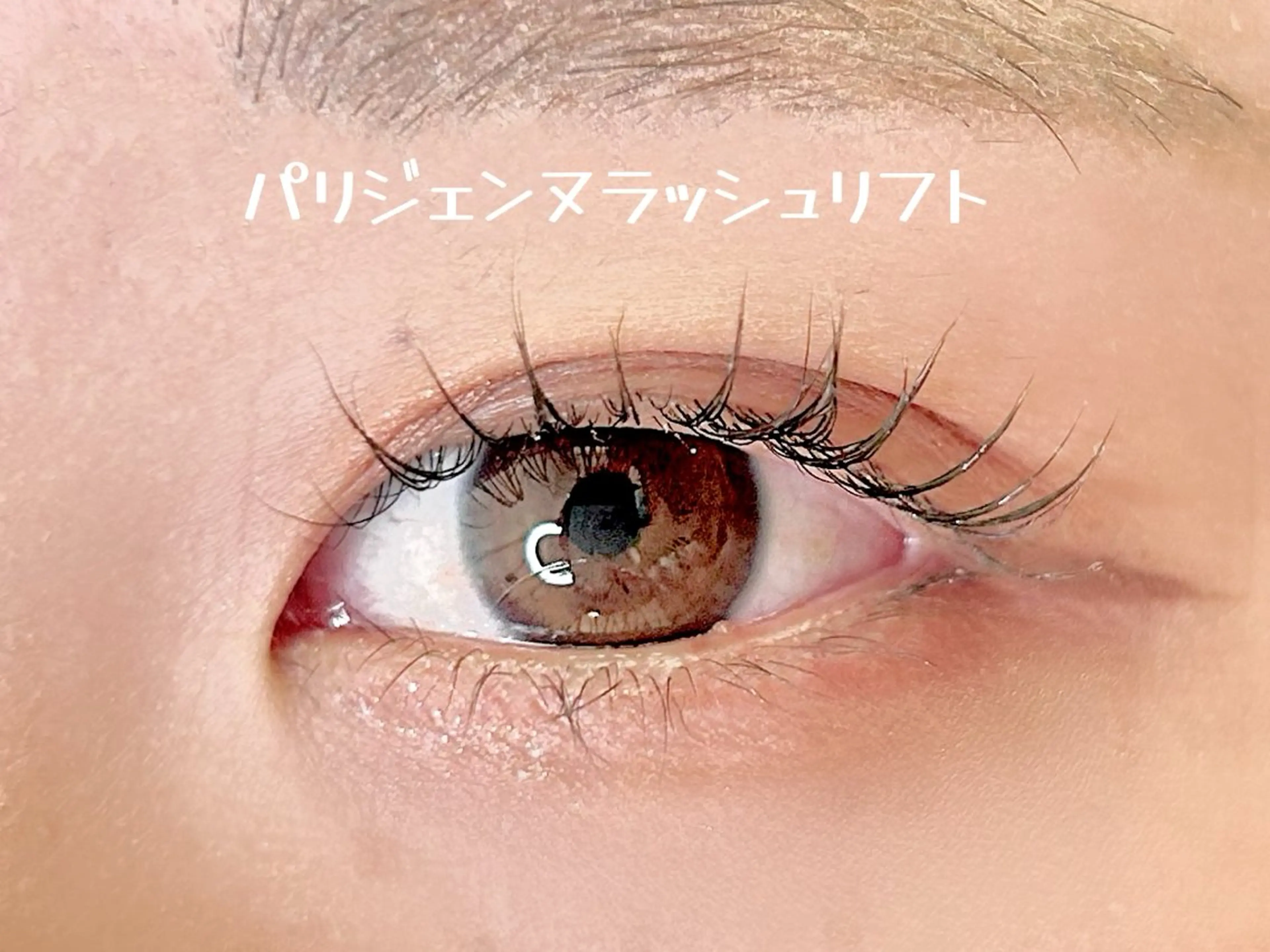 マツエク・マツパ パリジェンヌラッシュリフト elua eyelash所属・elua eyelashの眉毛・アイブロウイメージ