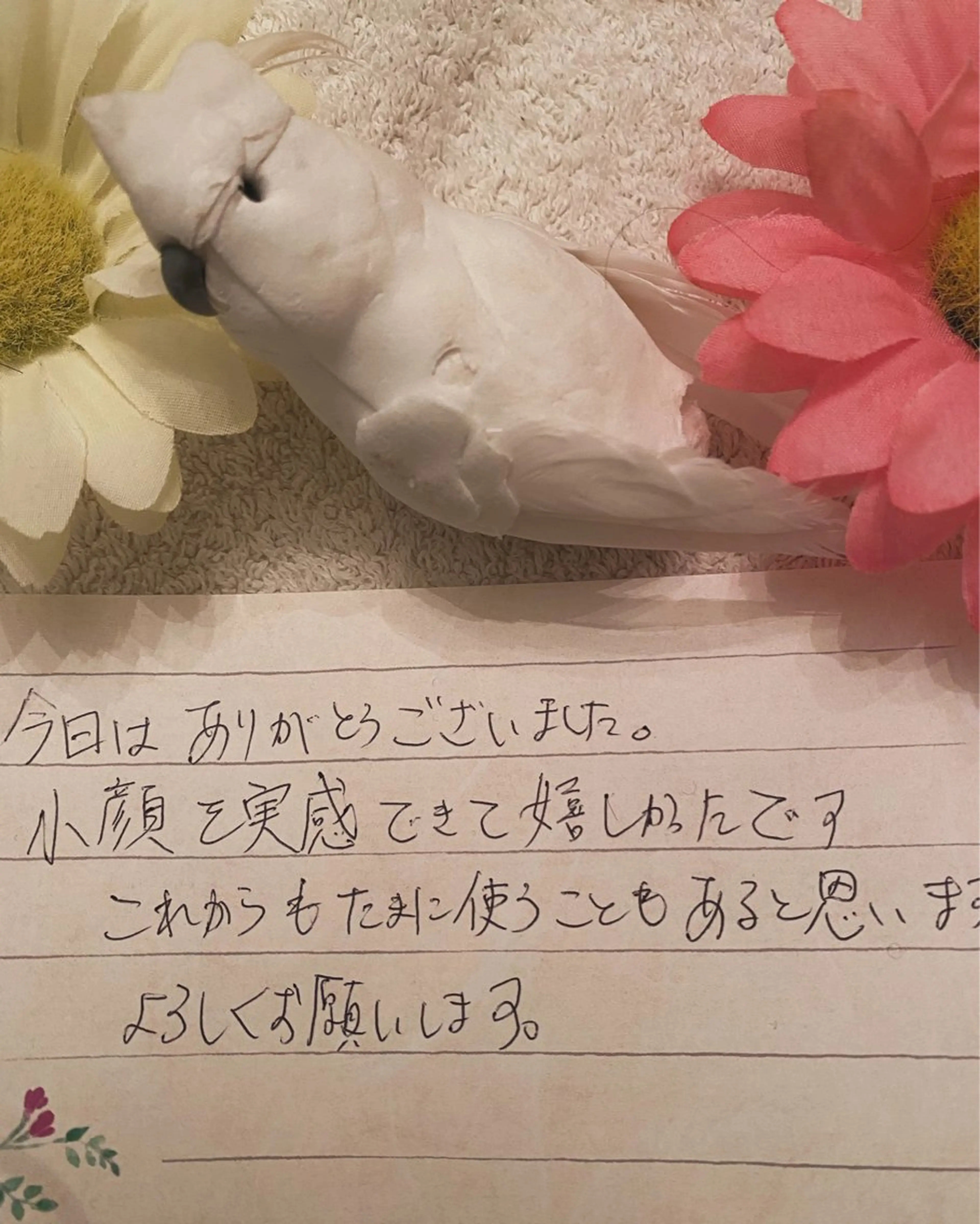 高屋 昌子のその他イメージ