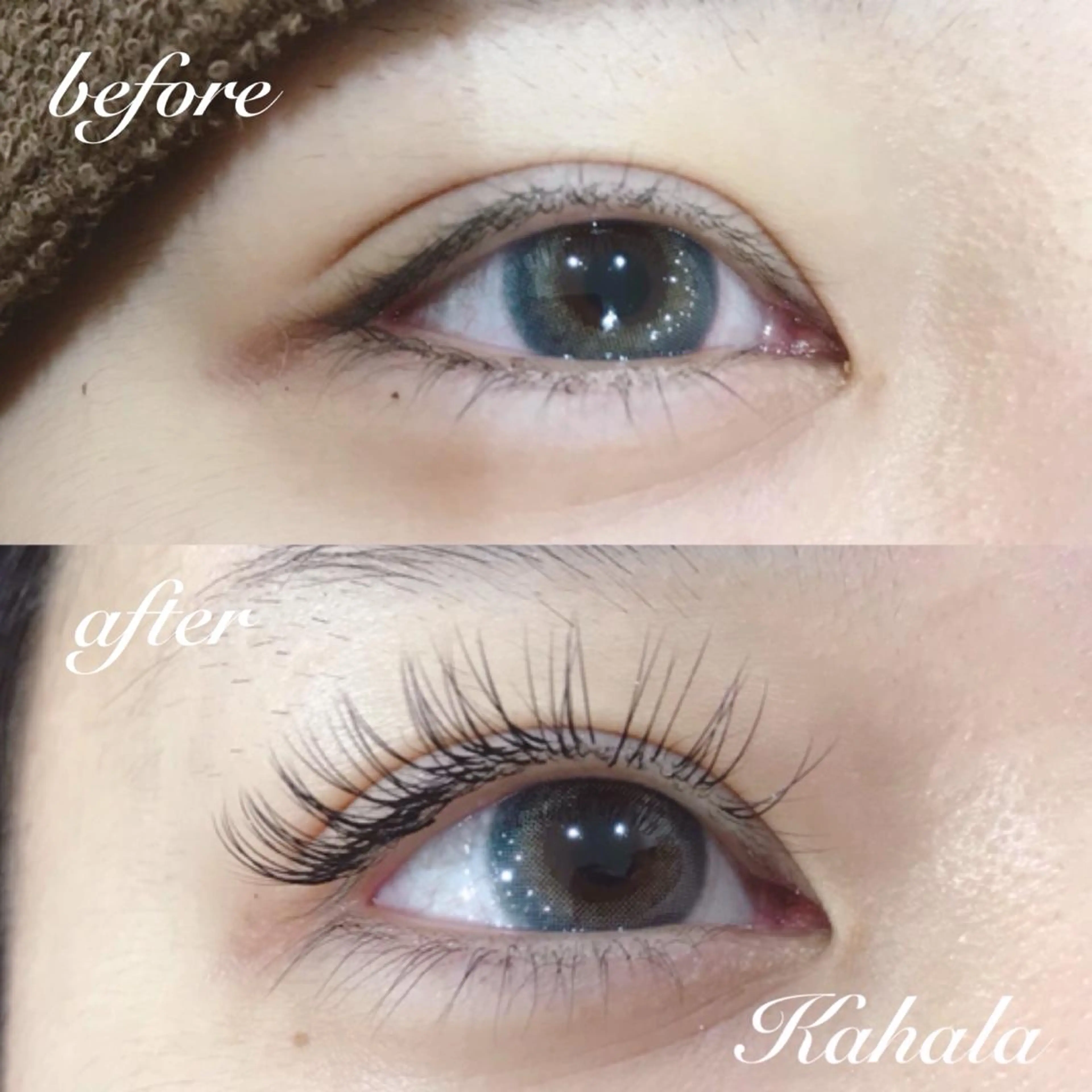 マツエク・マツパ Fujimoto 🦭⸝⋆꙳のマツエク・マツパデザイン