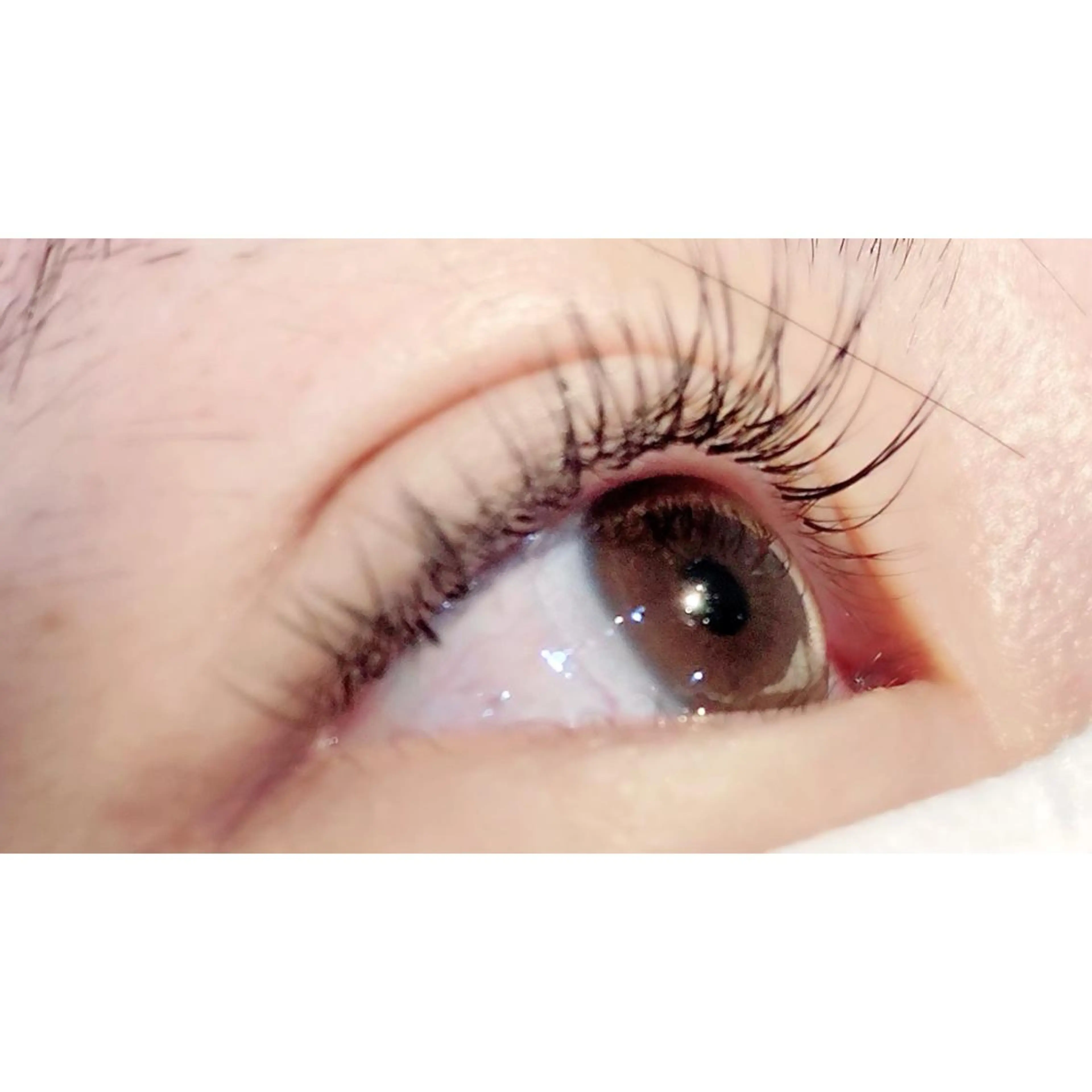 マツエク・マツパ フラットラッシュ Bianca 長津田店　長牛の眉毛・アイブロウイメージ