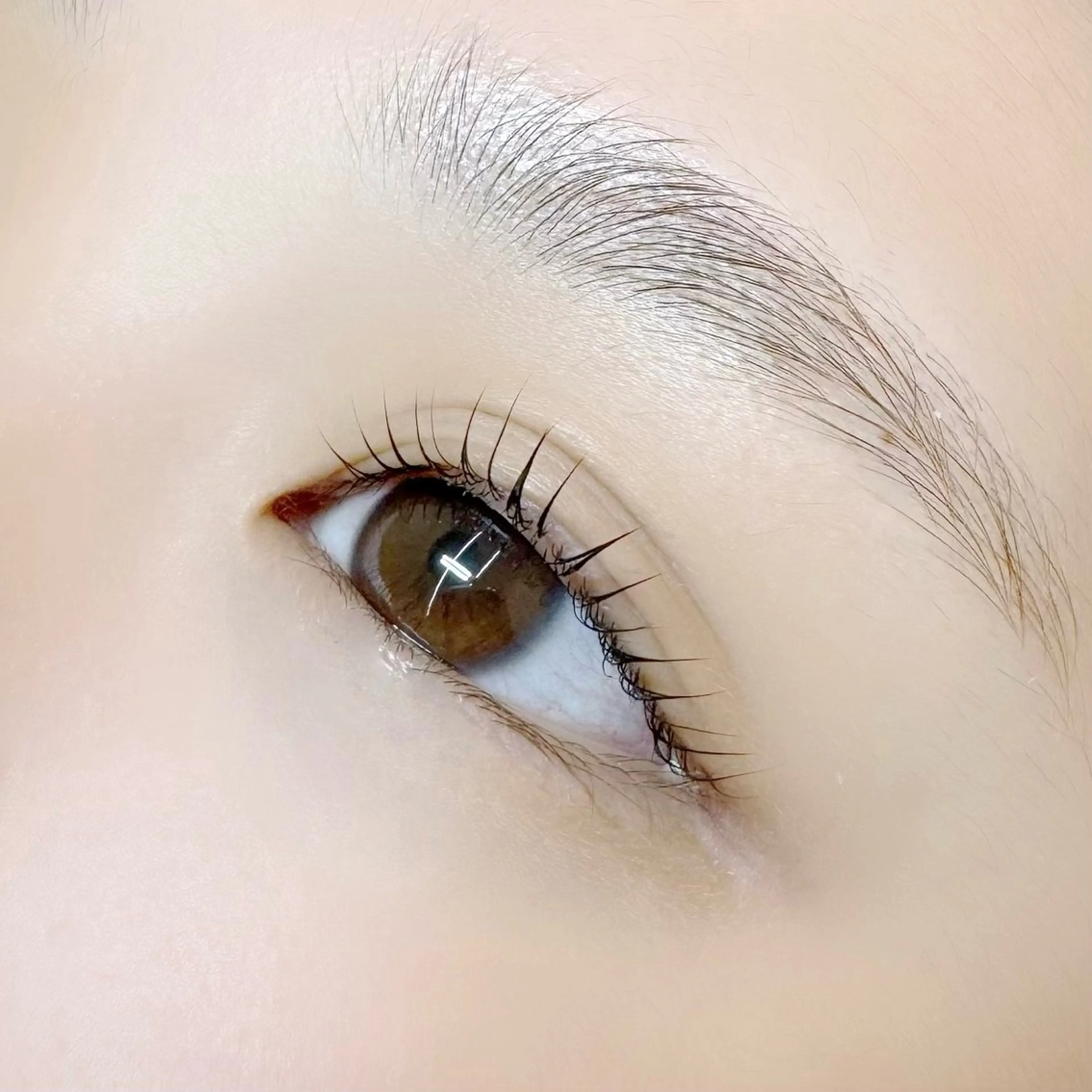 マツエク・マツパ Kurumi クルミのマツエク・マツパデザイン