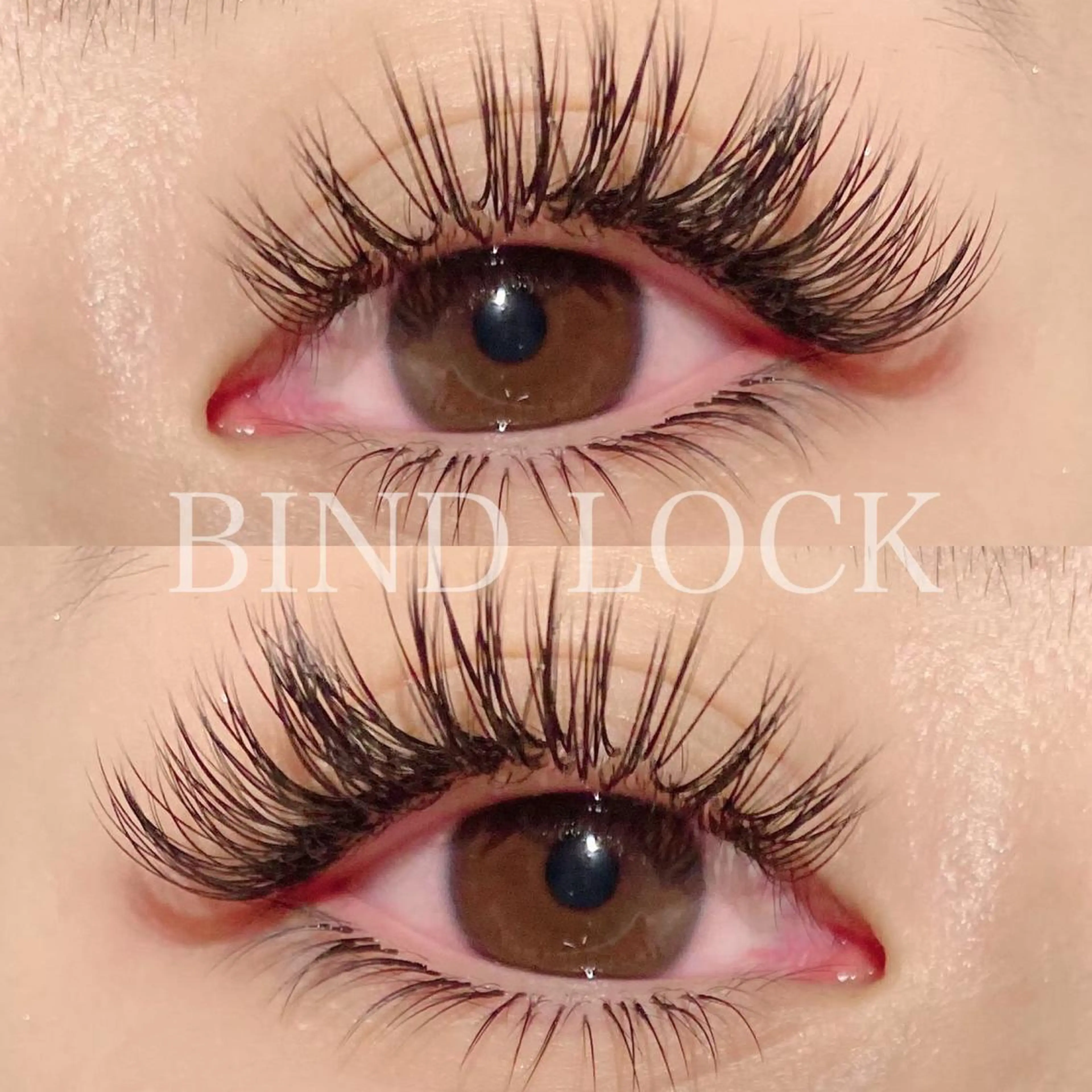 🦋圧倒的持続力！バインドロック100束🦋Wフラット変更可能◎持ち、濃さNo.1🪄･:*+.の写真