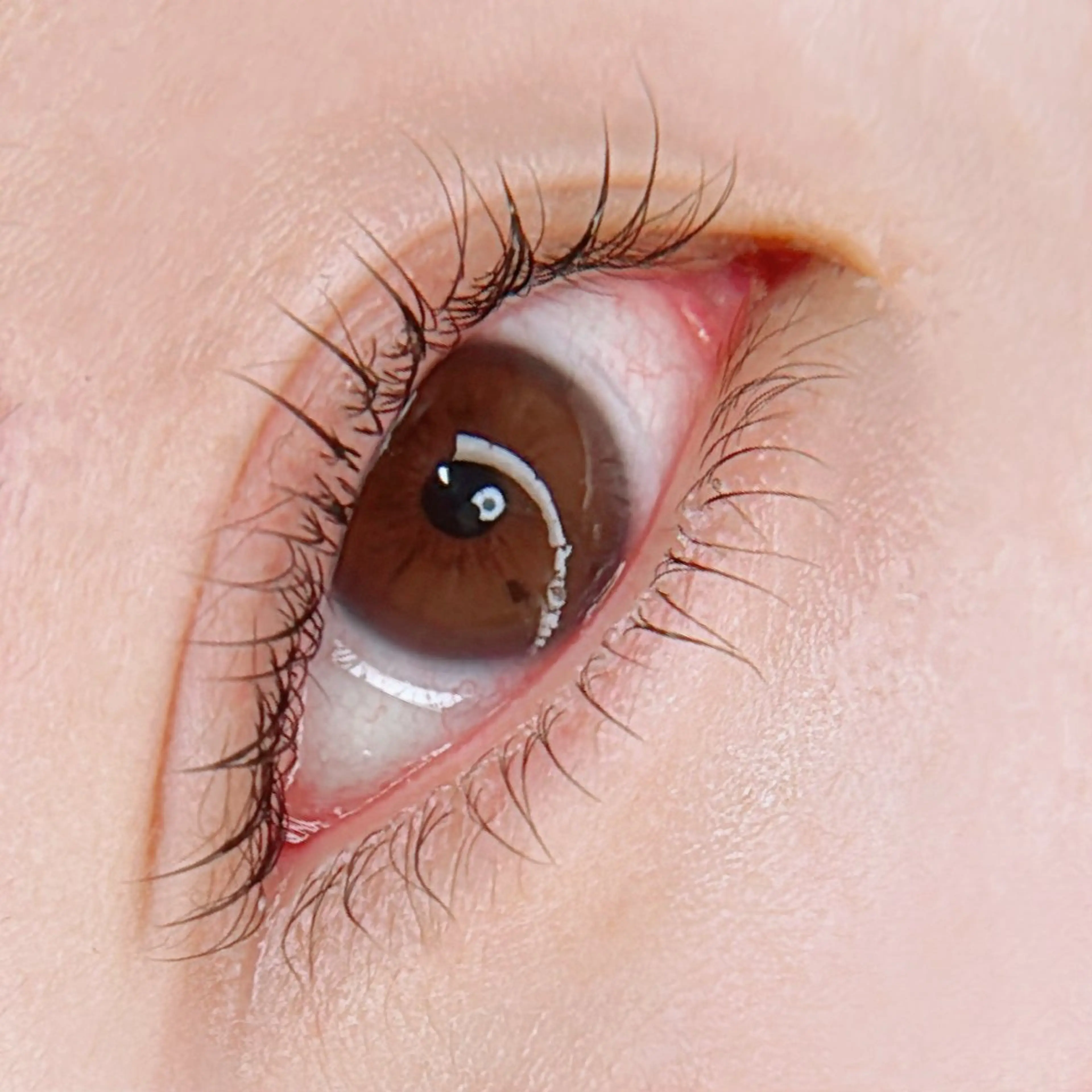 【上＋下マツパSET】ケラチンラッシュリフト（パリジェンヌ、まつげカール、マツパ）【高濃度ケラチントリ＋ダメージレス】の写真