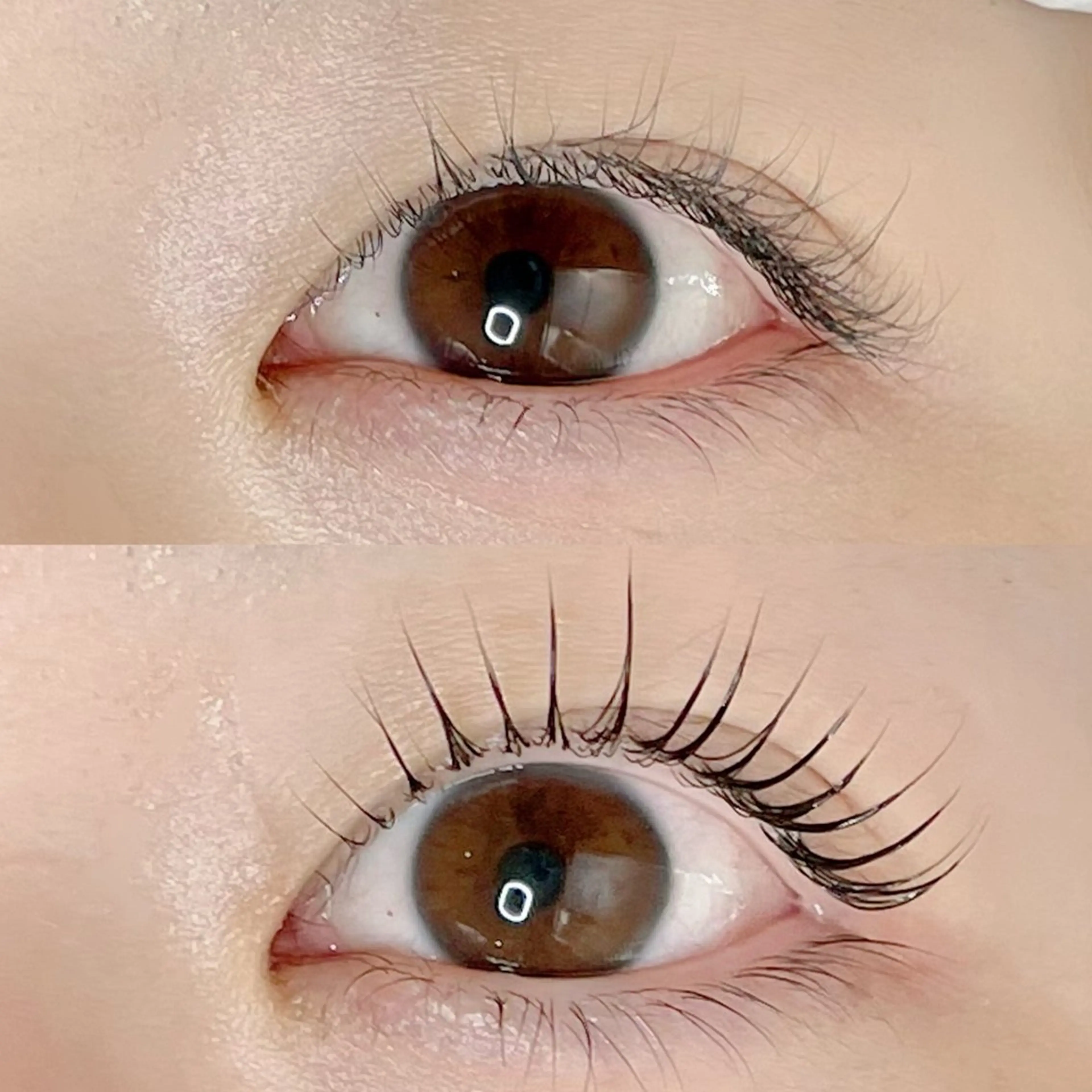 マツエク・マツパ マツパ AYLASH🧡 猪又のマツエク・マツパデザイン