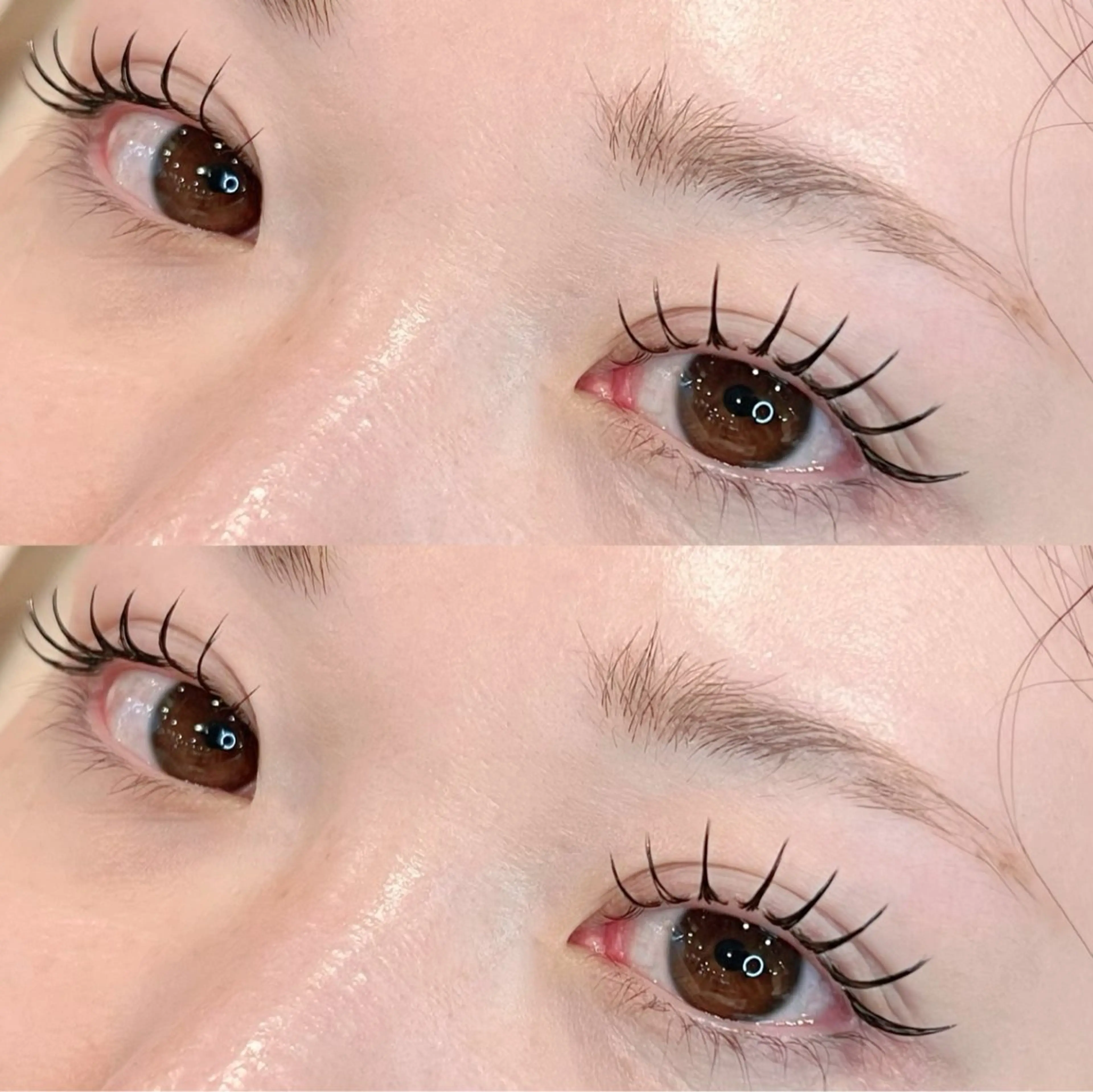 🦋アップワード🦋+フラットラッシュ120本 ¥8500/ 140本¥9000の写真