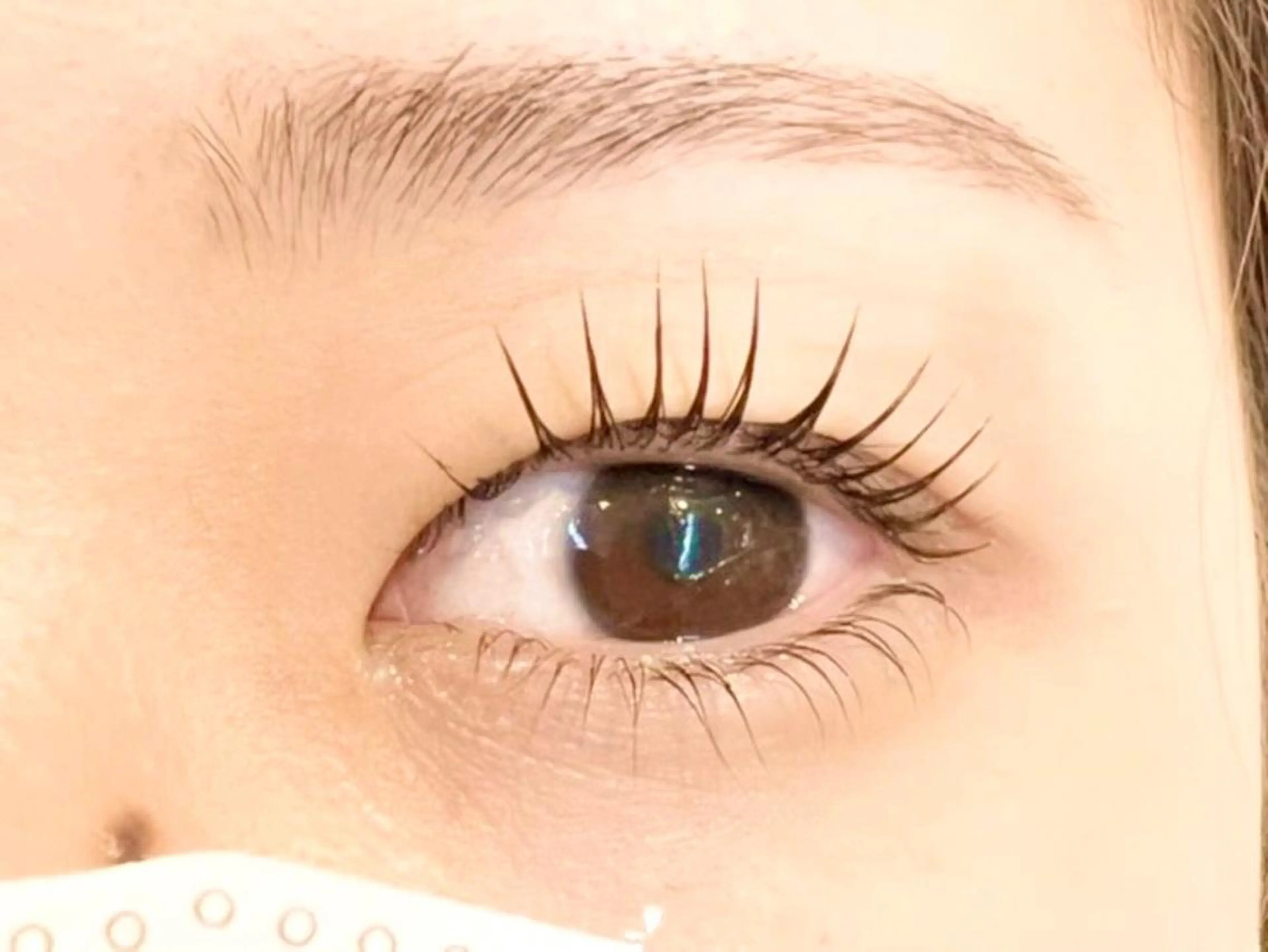 ラッシュリフト（まつ毛パーマ）🌟美容液コーティング仕上げ🌱の写真