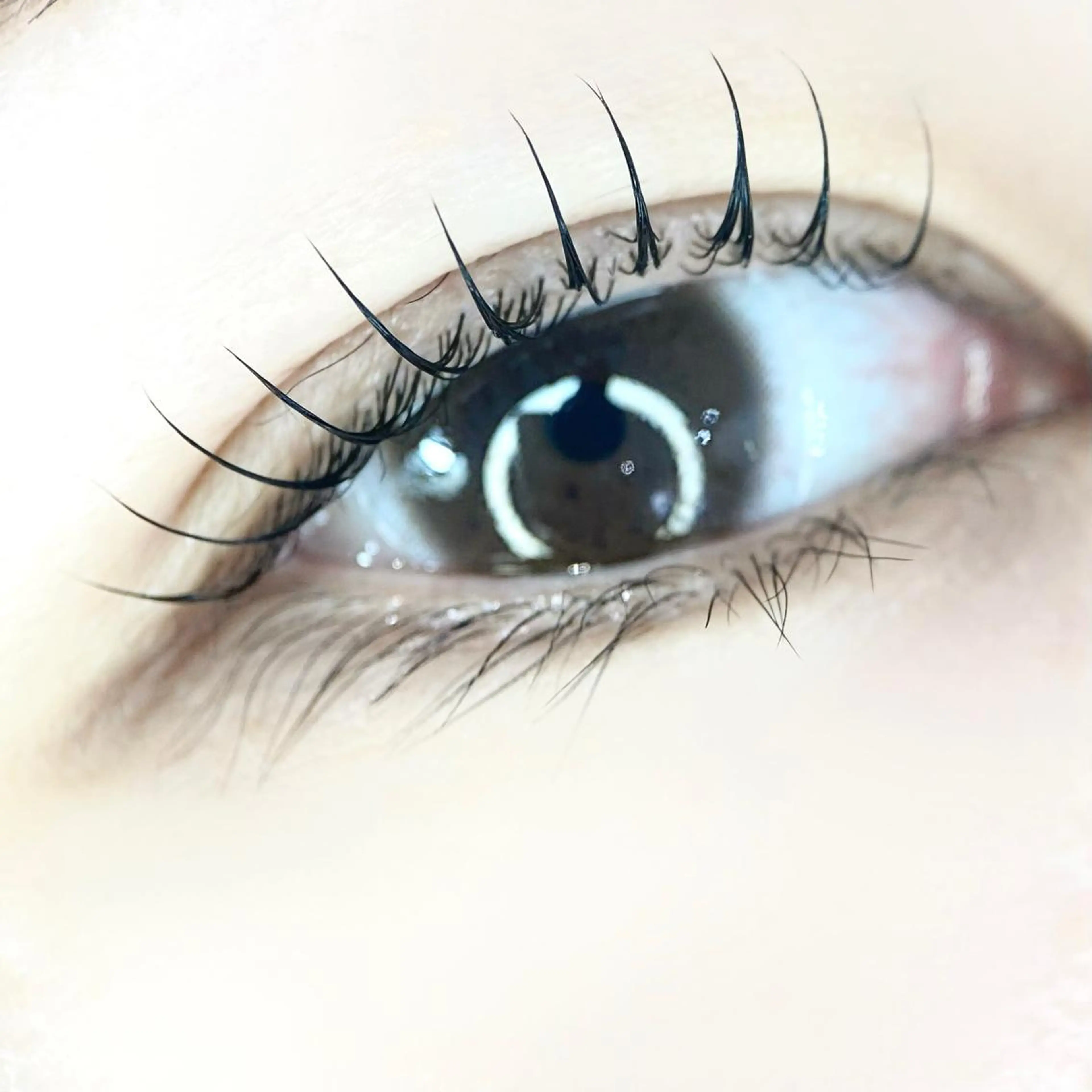 マツエク・マツパ マツパ モチ2倍パリジェンヌ 超えまつパ！長谷美希のその他イメージ