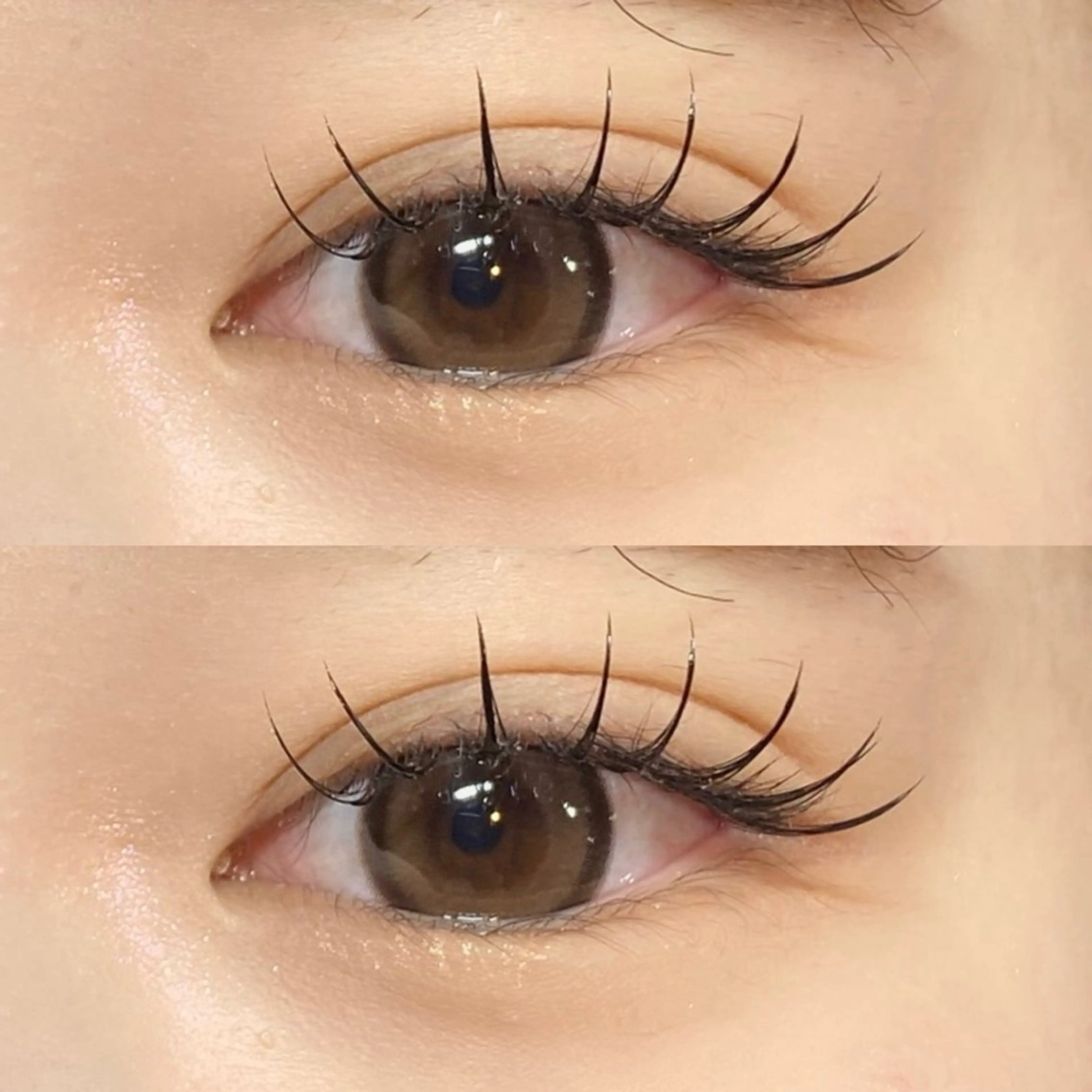 【オフなしの方のみ】フラットラッシュ120本🌟コーティング付き✨の写真