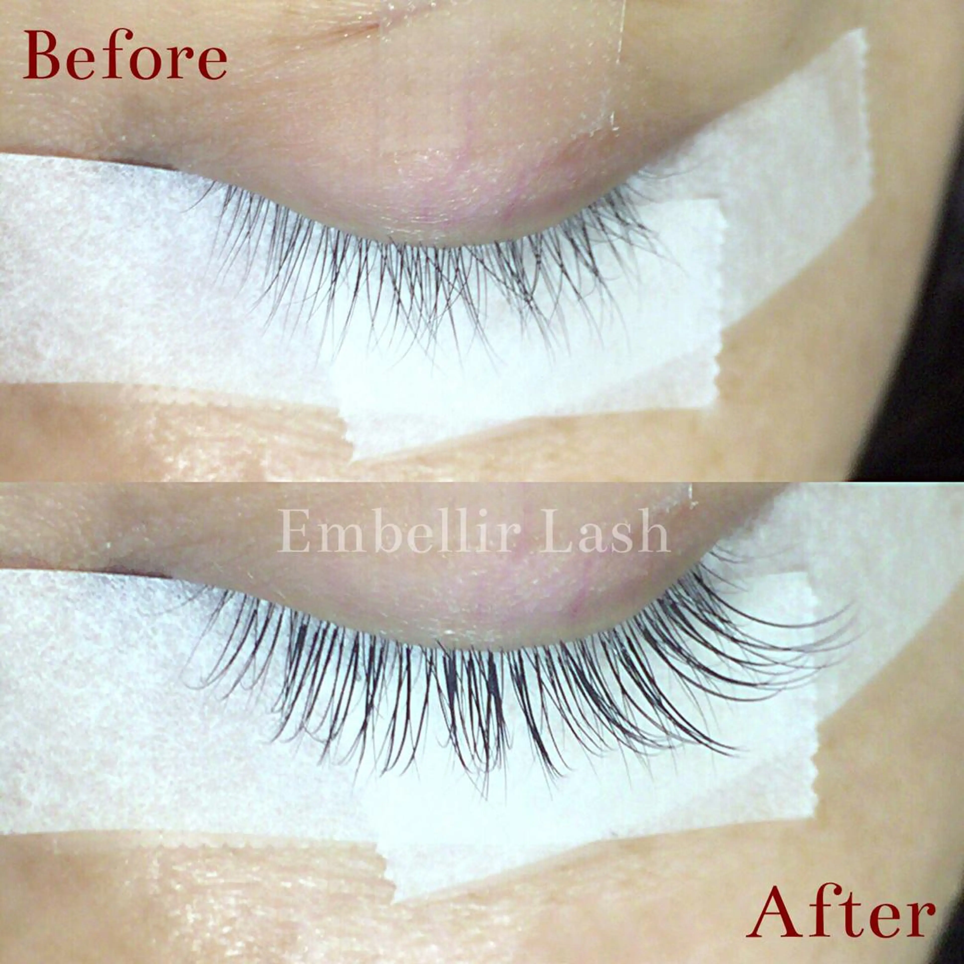 マツエク・マツパ まつエク・パーマ アンベリイルラッシュのマツエク・マツパデザイン