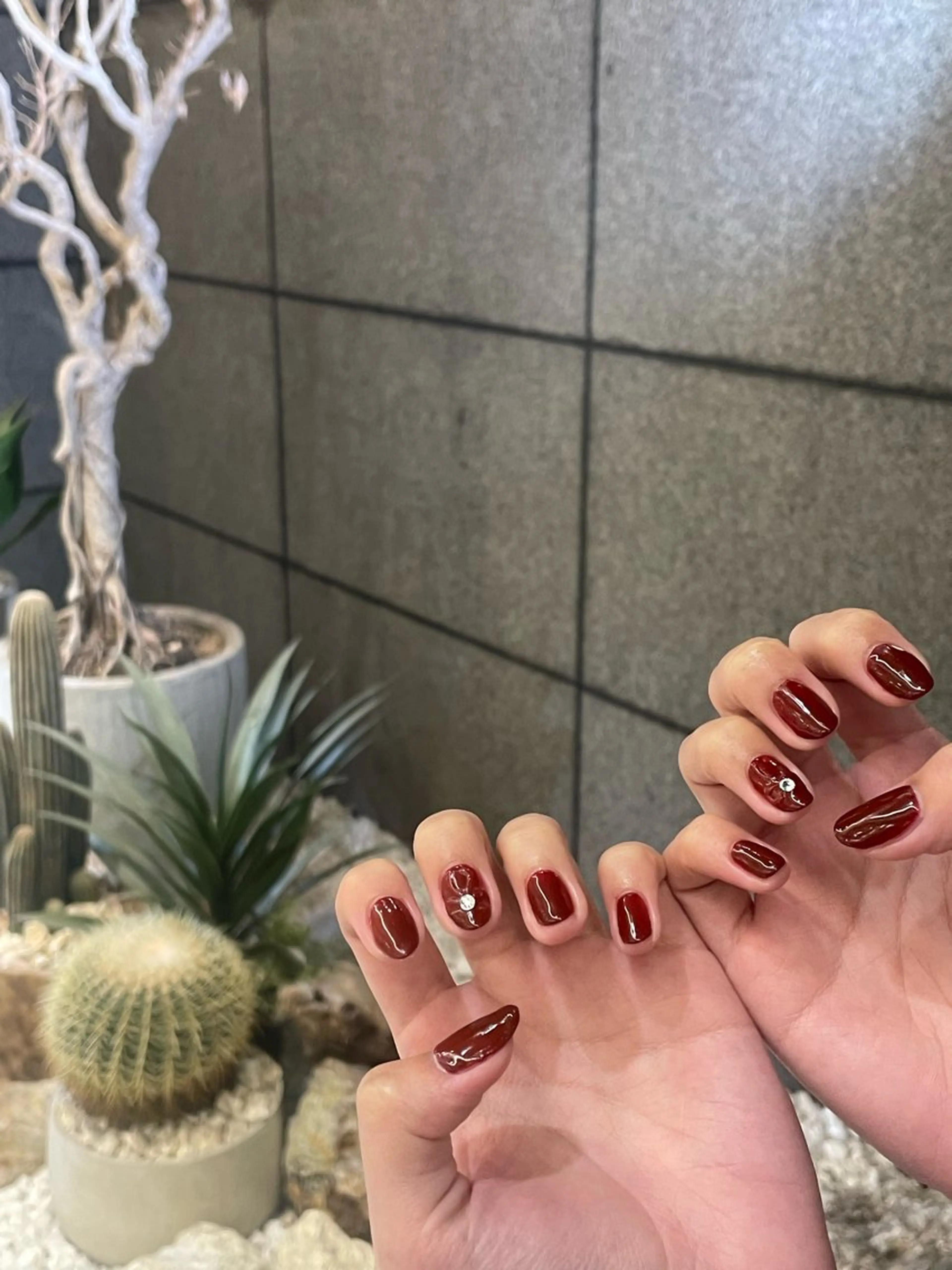 ネイル アートネイル ボルドー クリアネイル ワンカラーネイル リボン AMRITA omotesando所属・艶カラー・:*個性派 ネイル🦋mire-のネイルデザイン