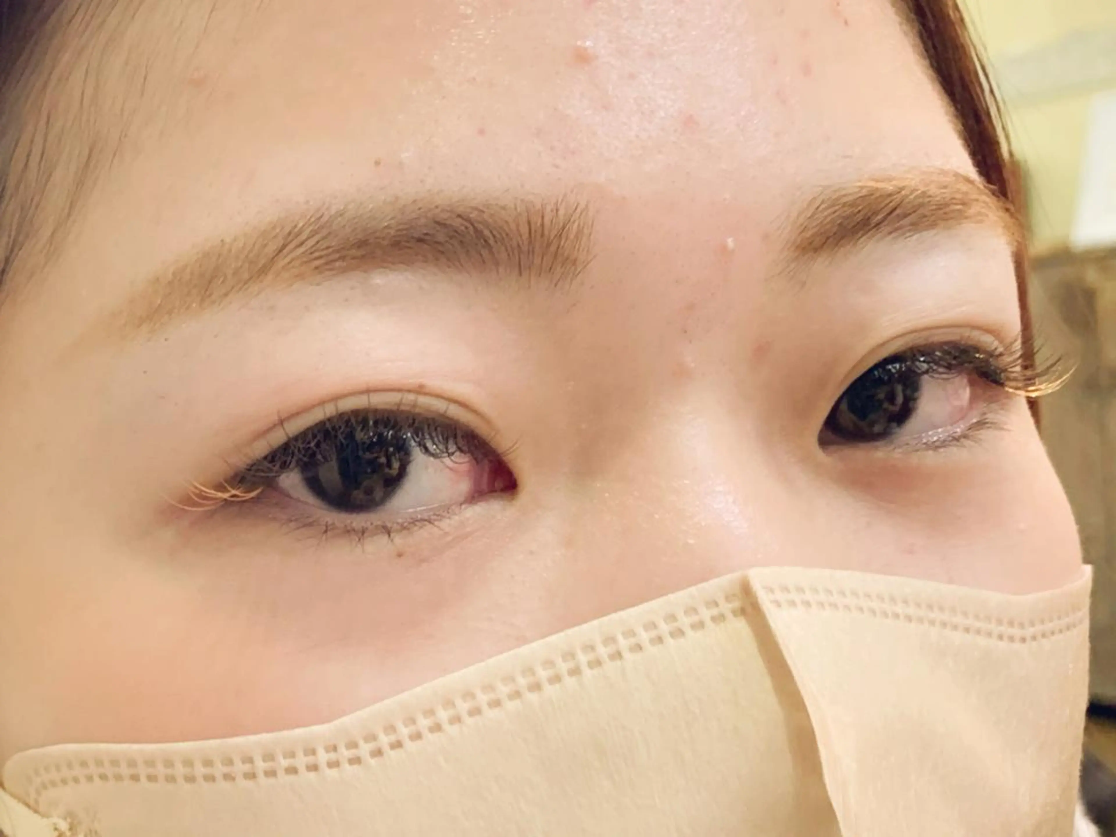 マツエク・マツパ カラーマツエク マツエク Nordlys Room所属・やまにたゆか🌿 Nordlysのマツエク・マツパデザイン