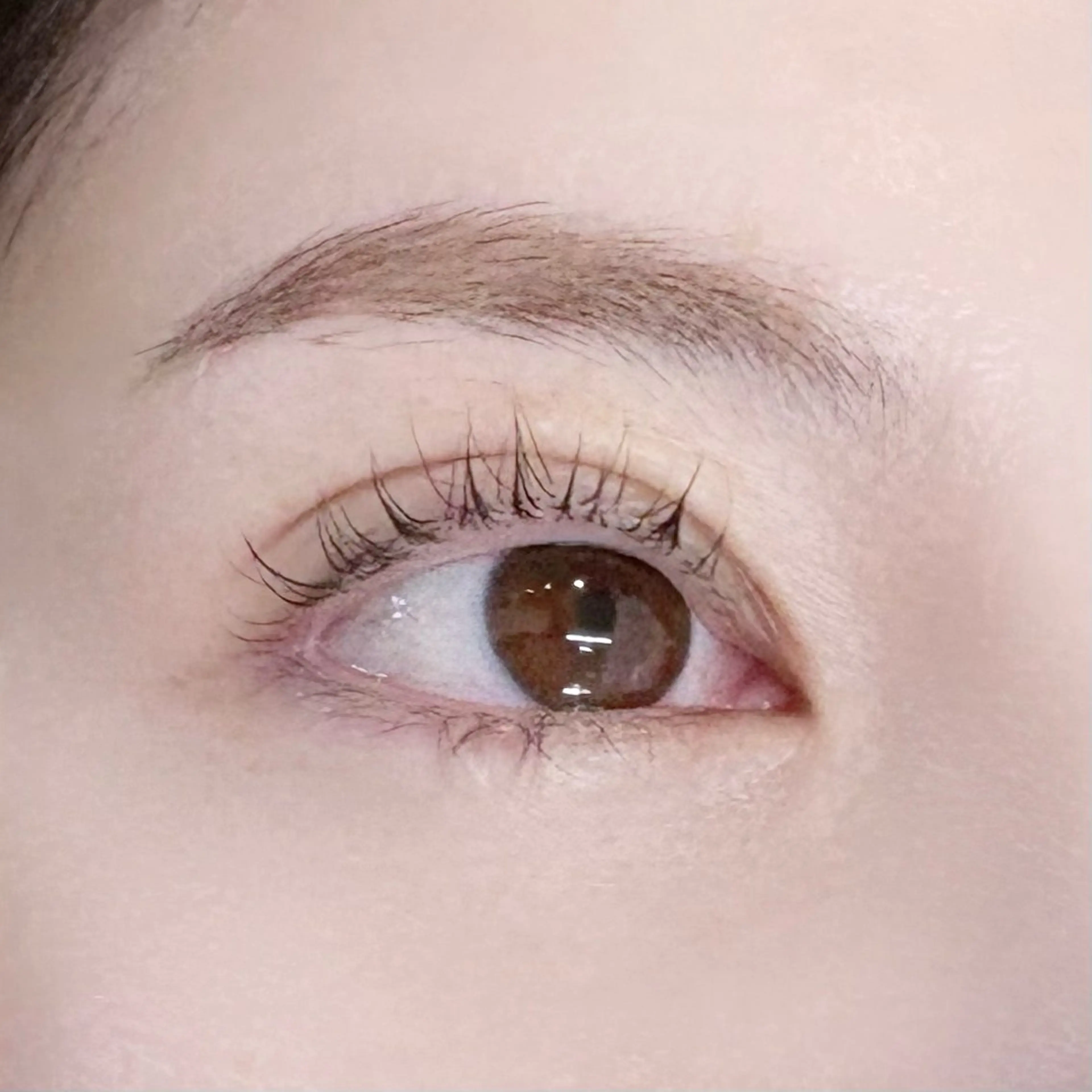 マツエク・マツパ Miraju MARINの眉毛・アイブロウイメージ