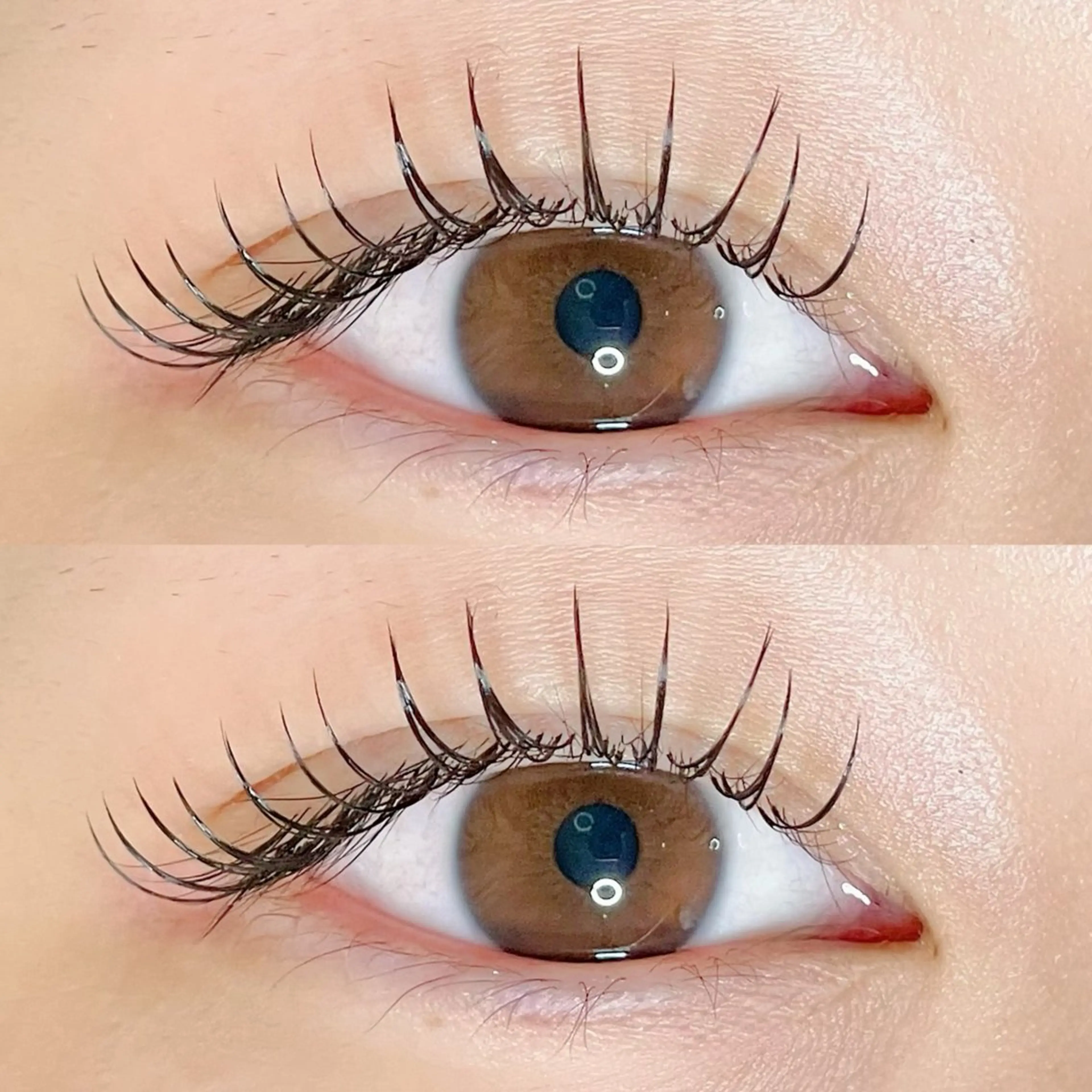 マツエク・マツパ フラットラッシュ マツエク AYLASH🧡 猪又のマツエク・マツパデザイン