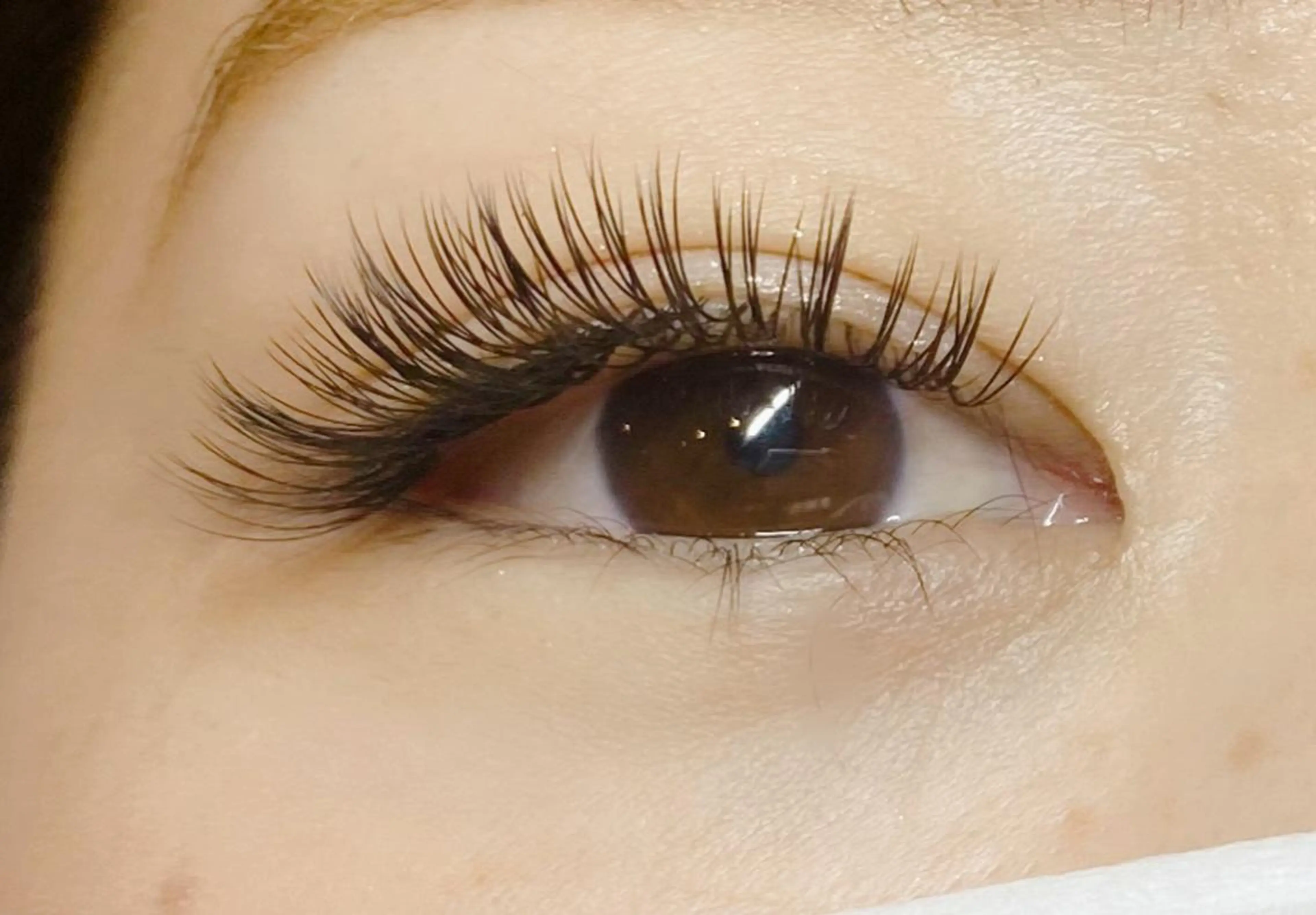 マツエク・マツパ CITRON ⭐︎のマツエク・マツパデザイン