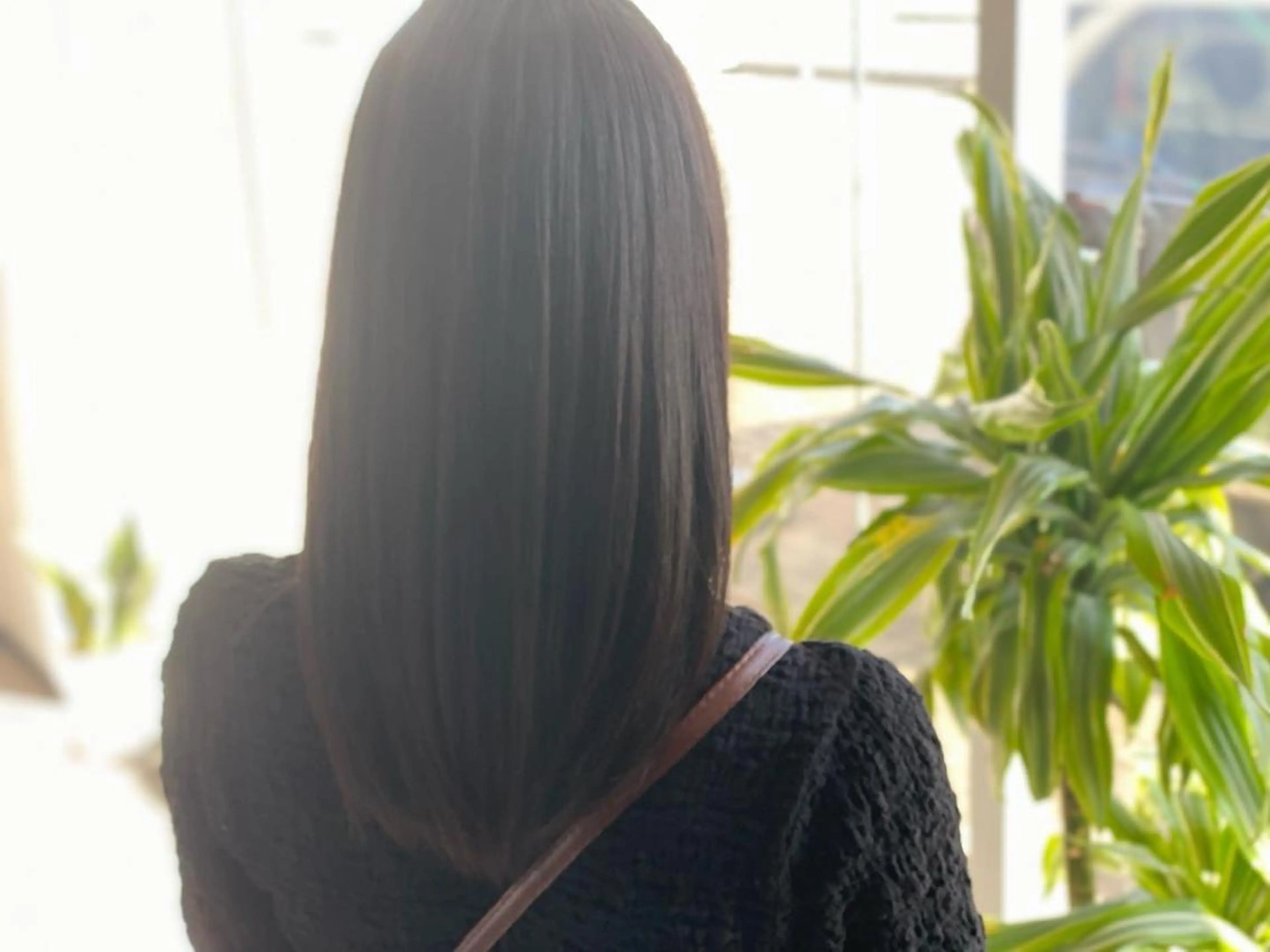 レディースカット（16.00~モデル料金）の写真