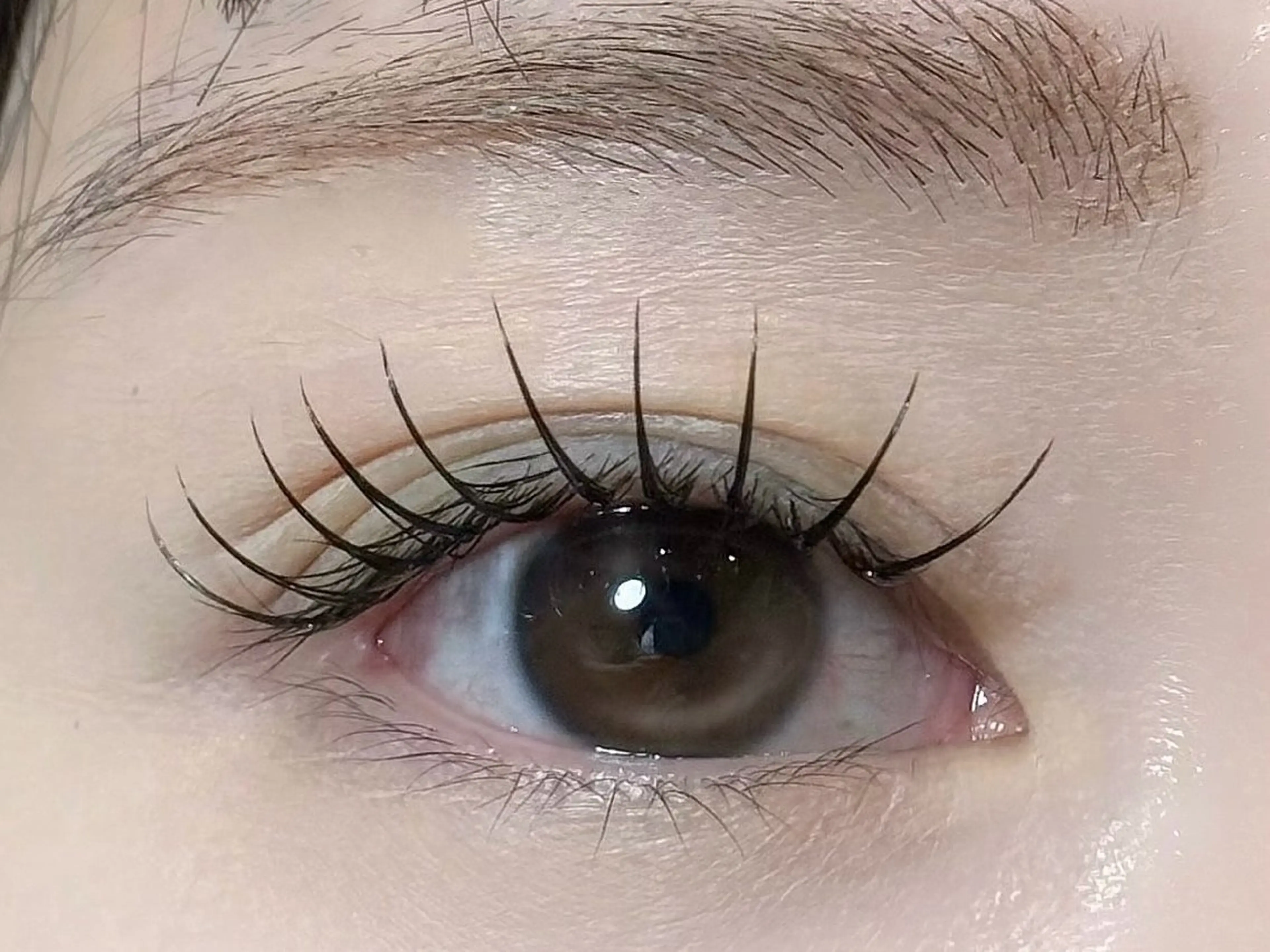 超持続⭐️LEDフラットラッシュ100本+コーティング付の写真