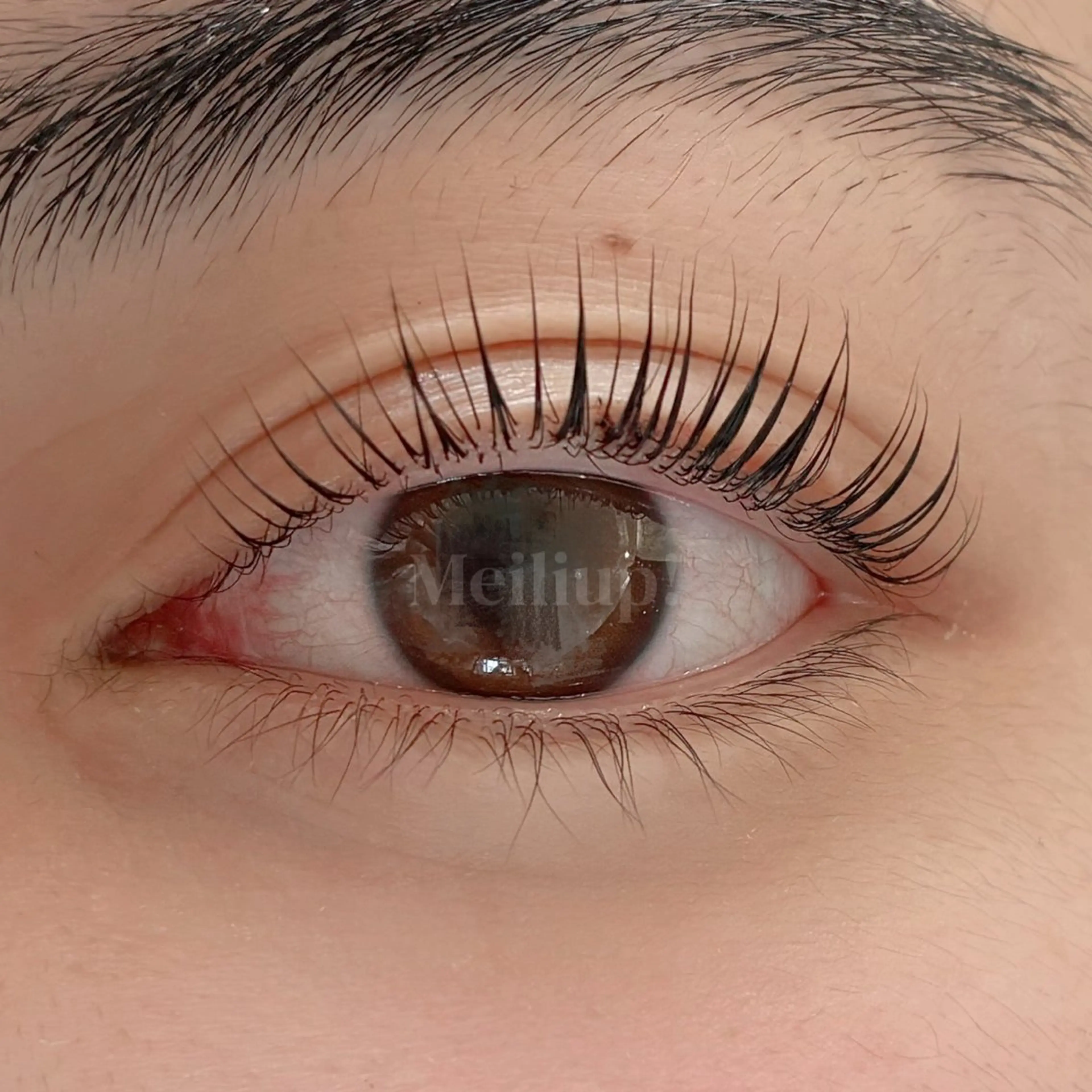 マツエク・マツパ マツパ 沖縄市 Meili up !のマツエク・マツパデザイン