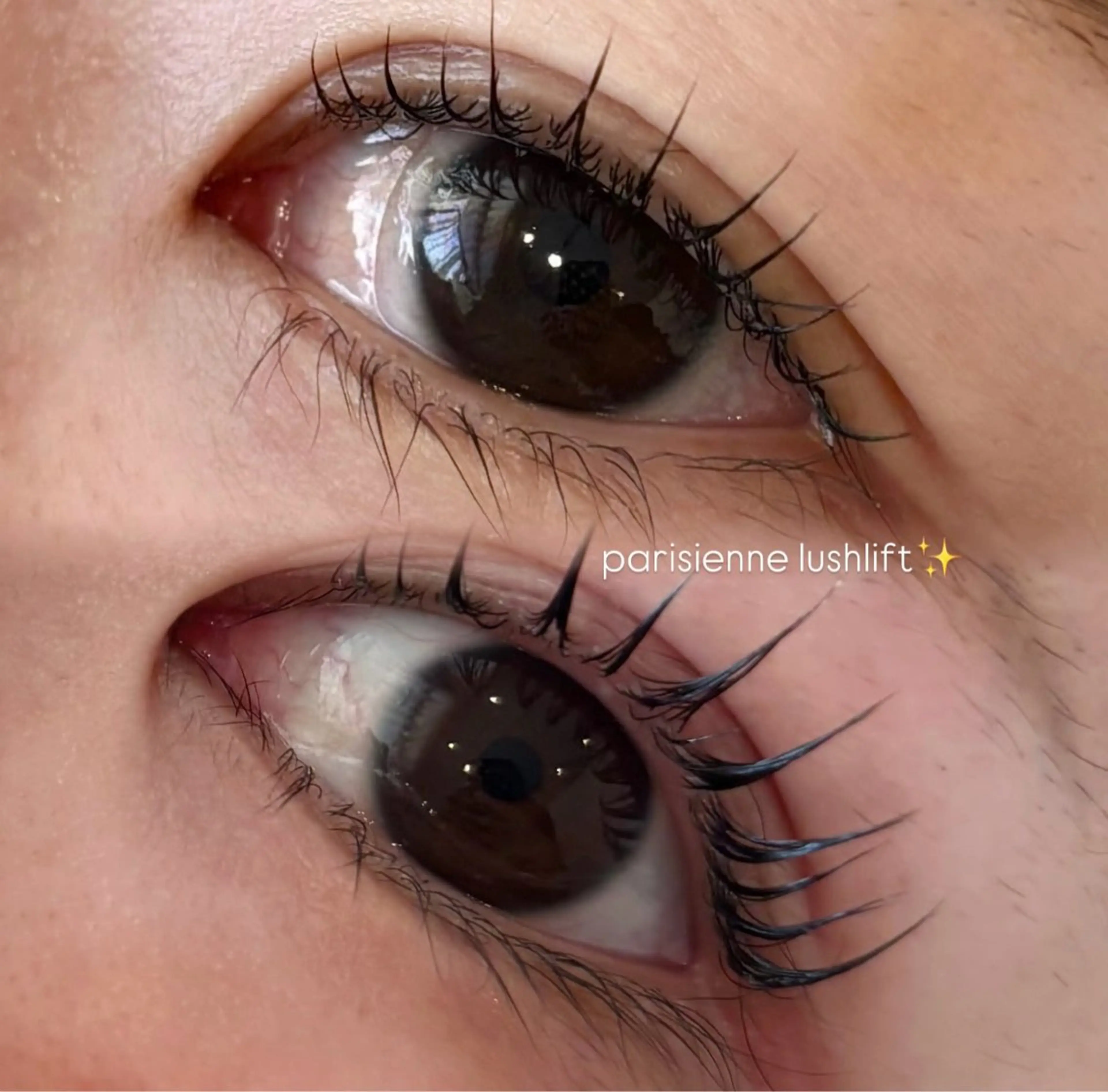 パリジェンヌ🎀の写真