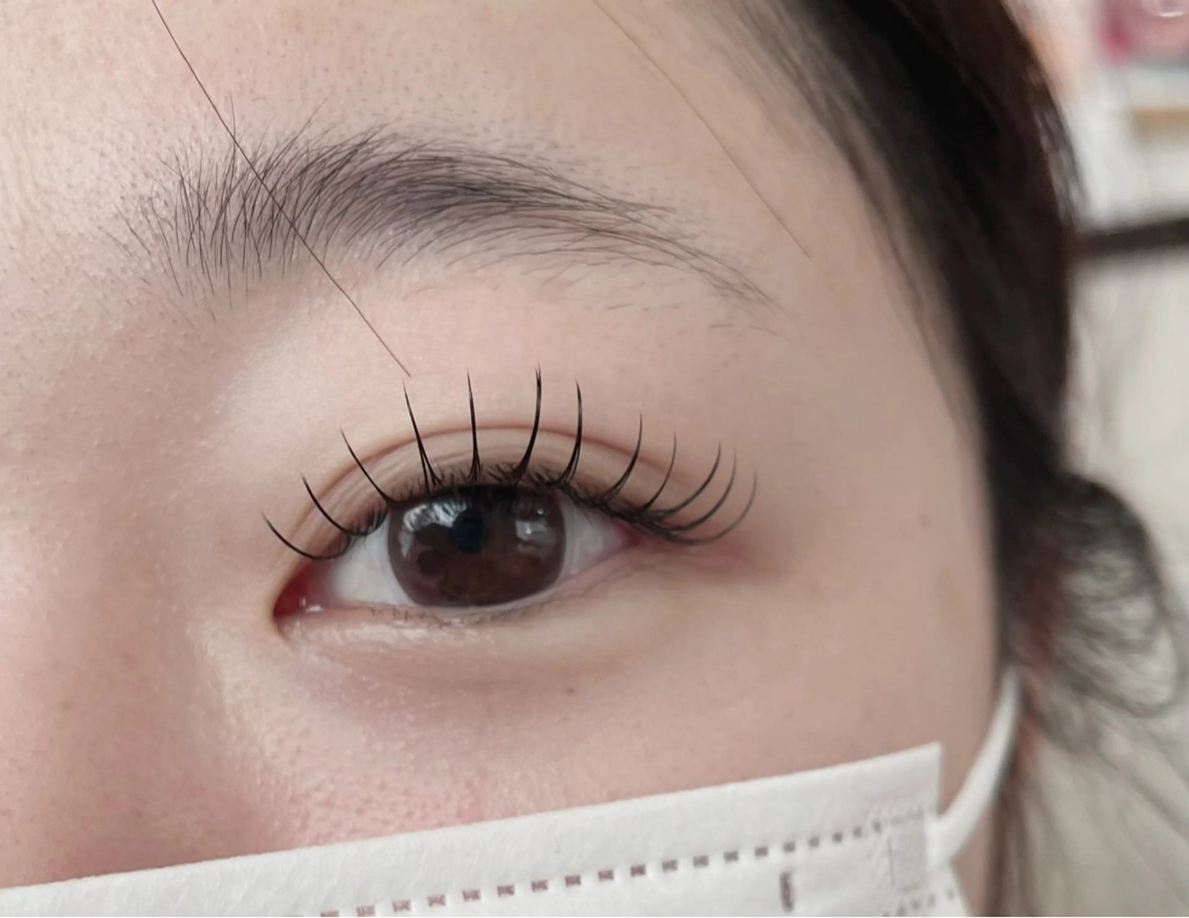 フラットラッシュ100本　オフなしの写真