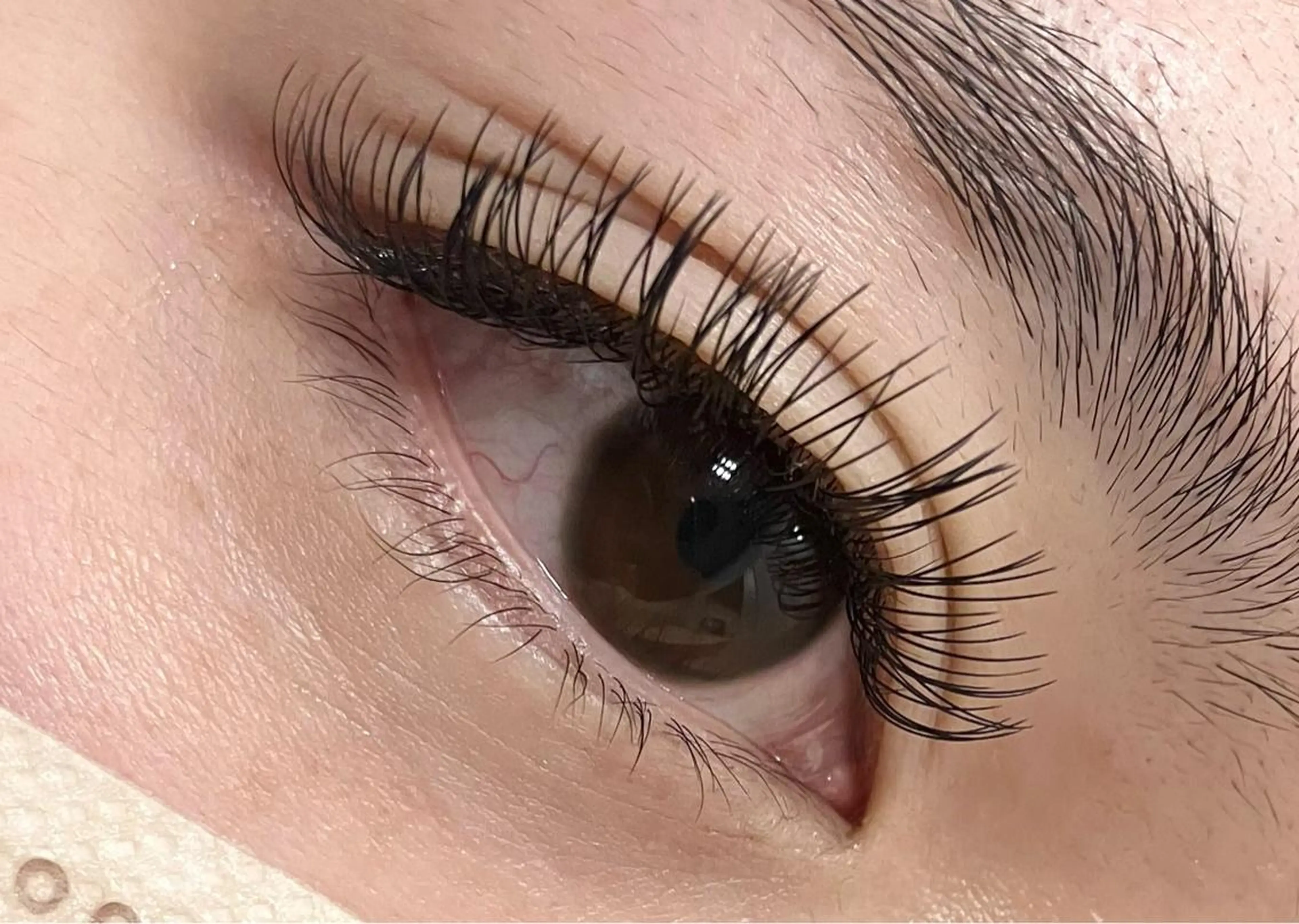 3/29来店限定🌺バインドロック♡100束♡コーティングサービス♡オフ無料の写真