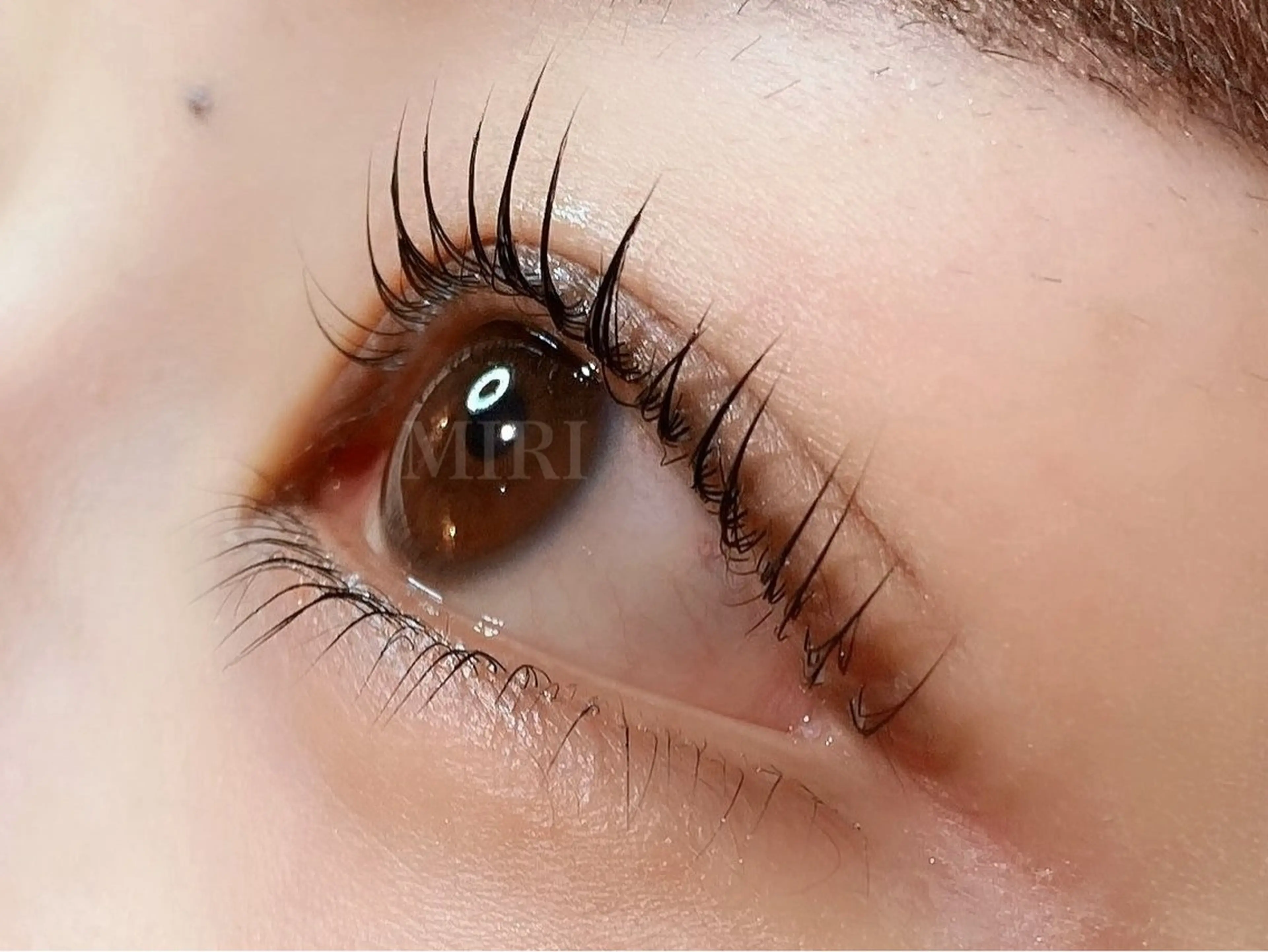 マツエク・マツパ マツパ 🌷まつ毛パーマ 専門店MIRI 🌷のマツエク・マツパデザイン