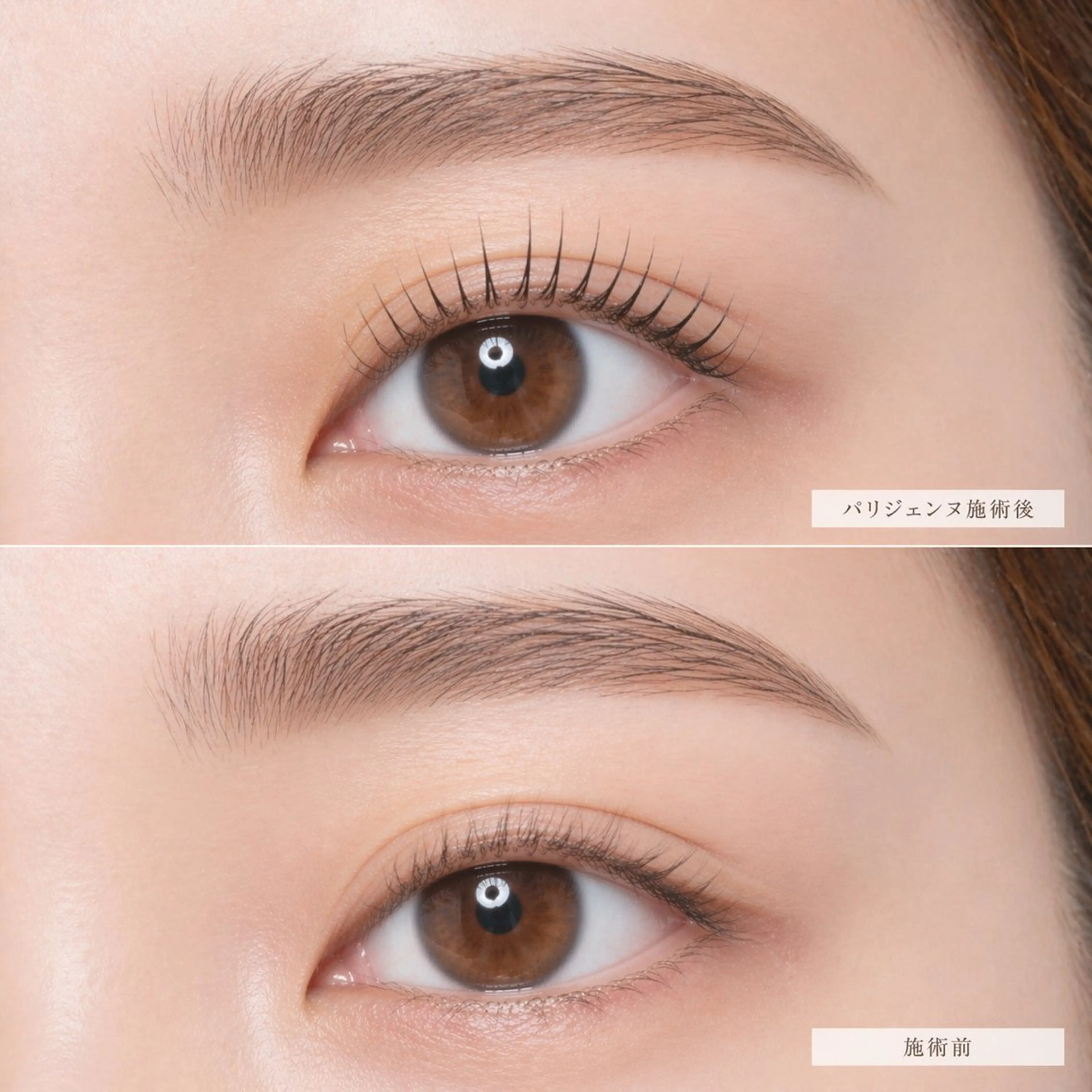 パリジェンヌの写真