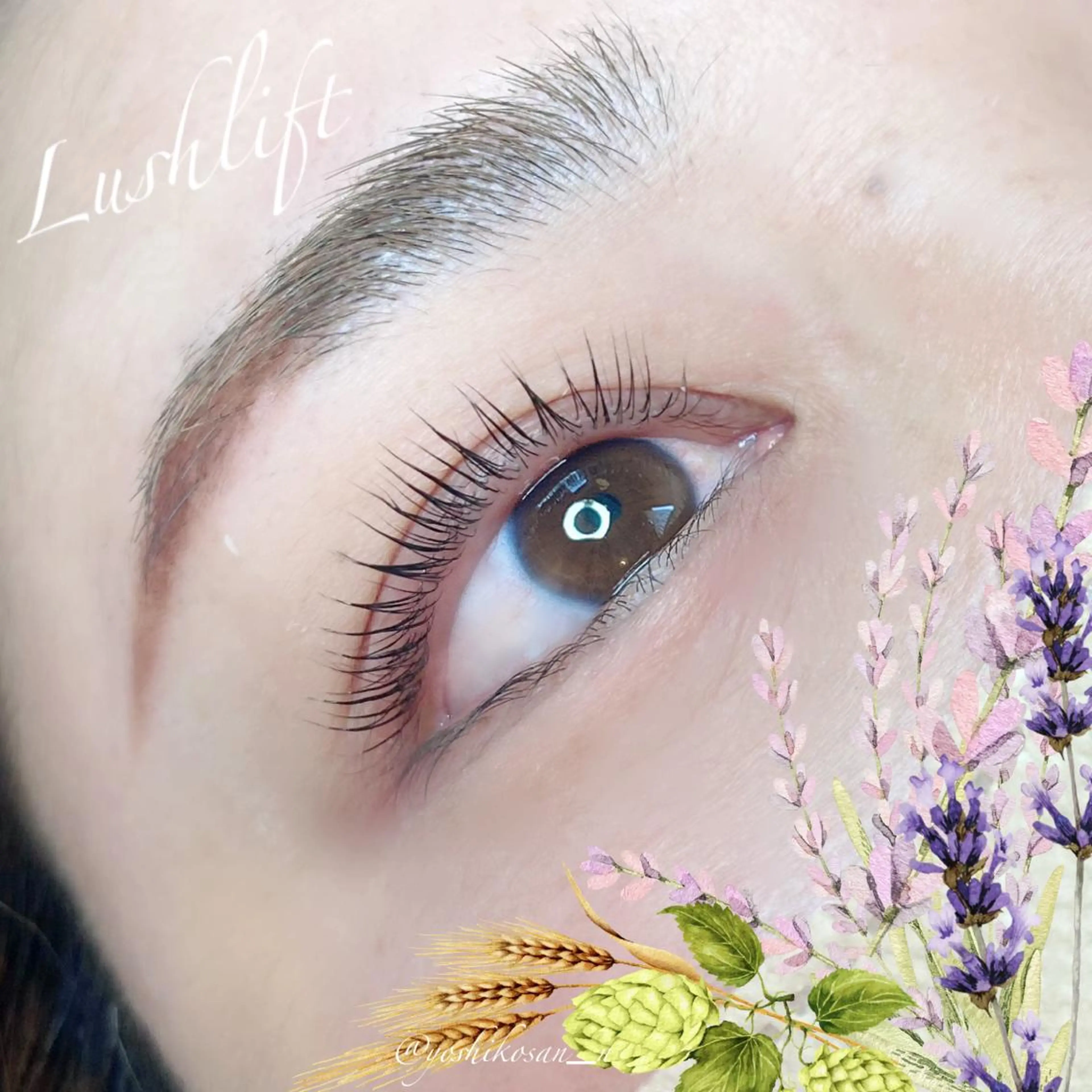 マツエク・マツパ Pixie Bob 🐈‍⬛　位田のマツエク・マツパデザイン