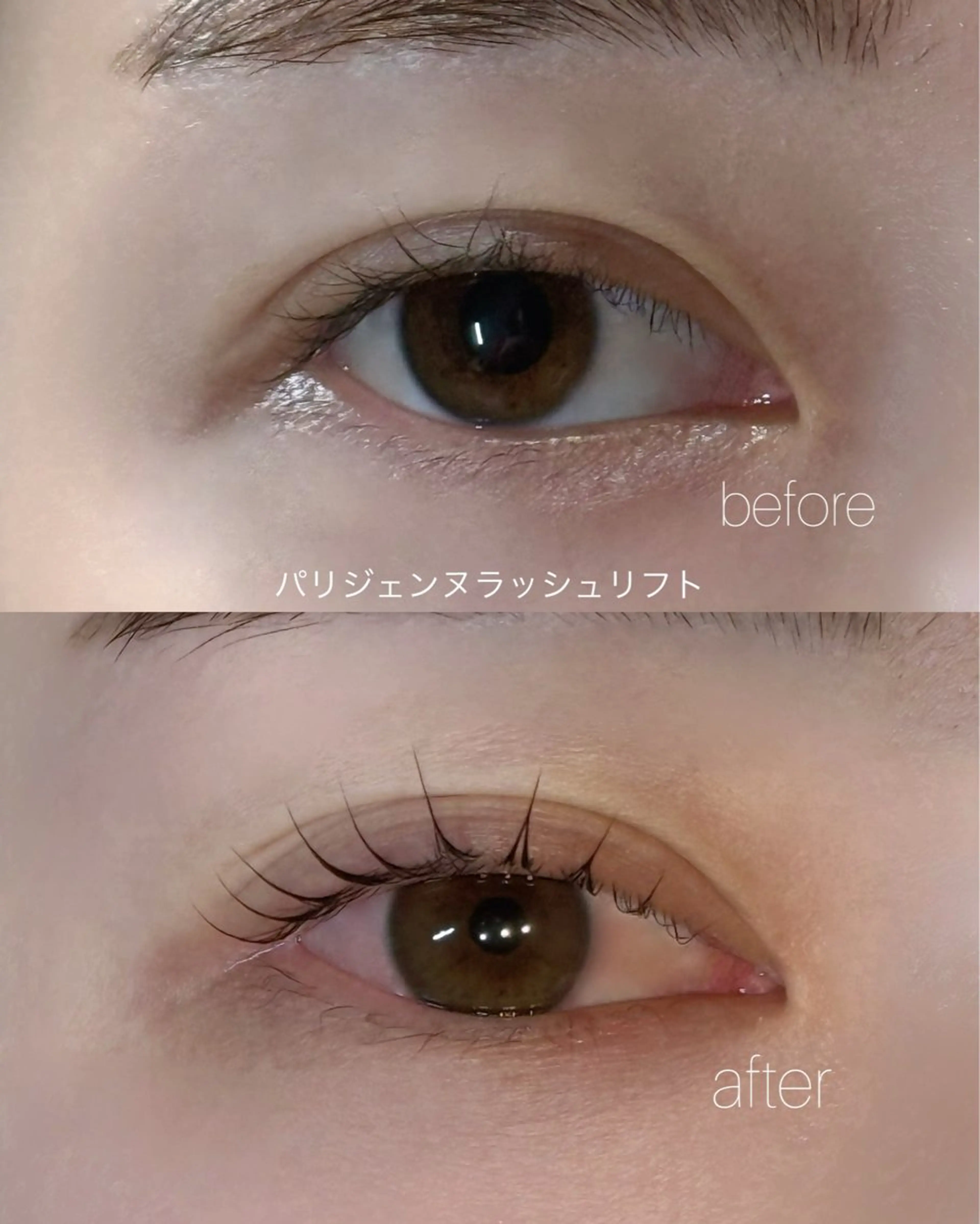 マツエク・マツパ マツパ fors  京橋｜ eye｜うぶみ‎🌷の眉毛・アイブロウイメージ