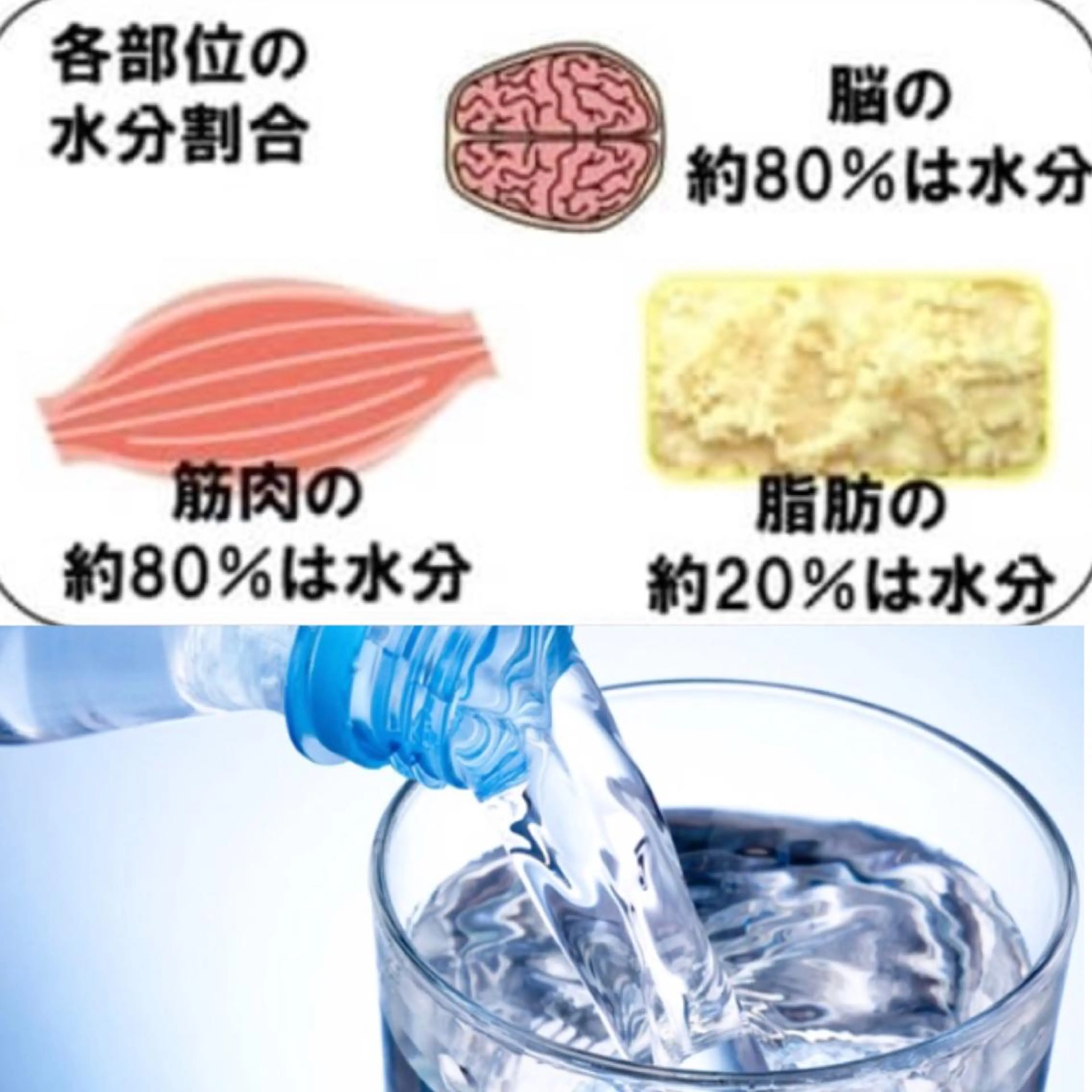 ショート カラー パーマ ヘアアレンジ メンズ キッズ ネイル マツエク・マツパ ‍痩身＆ボディ 結果出し🌟丹野のエステ・リラクイメージ