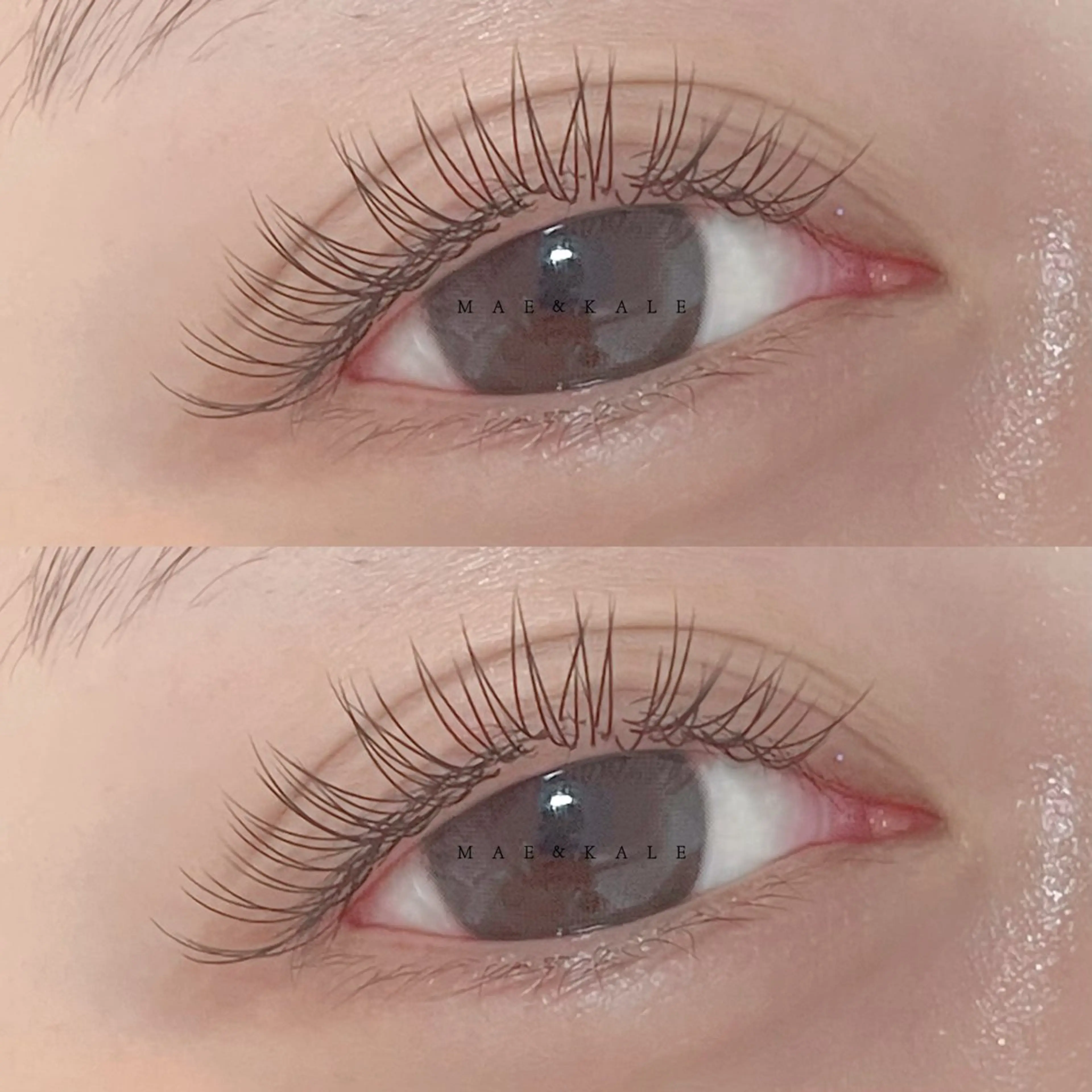 【新規オフ込み】🩷フラットラッシュ100本の写真