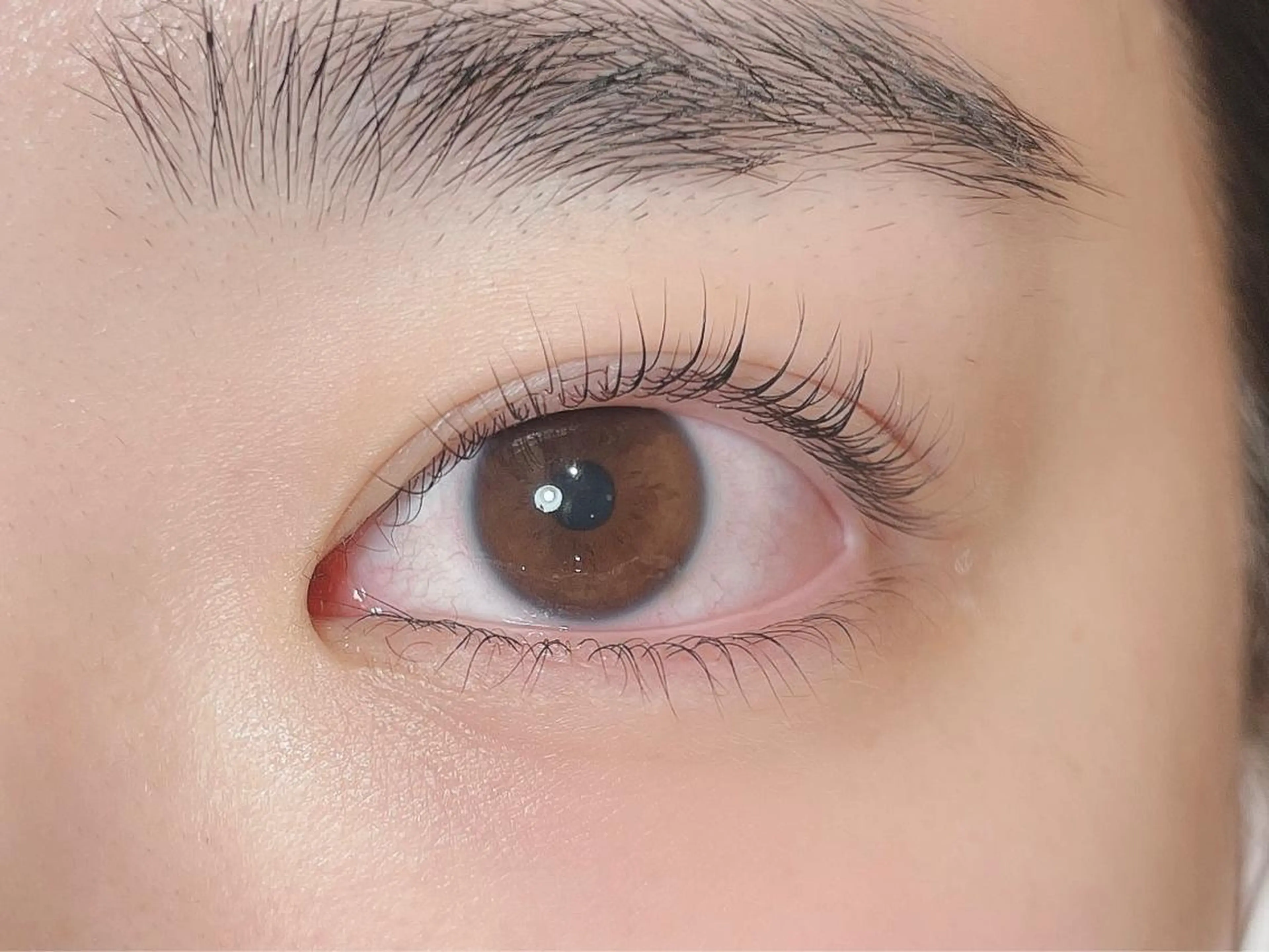 マツエク・マツパ 下まつげエクステ 一重×まつ毛パーマ 横山 麗のマツエク・マツパデザイン