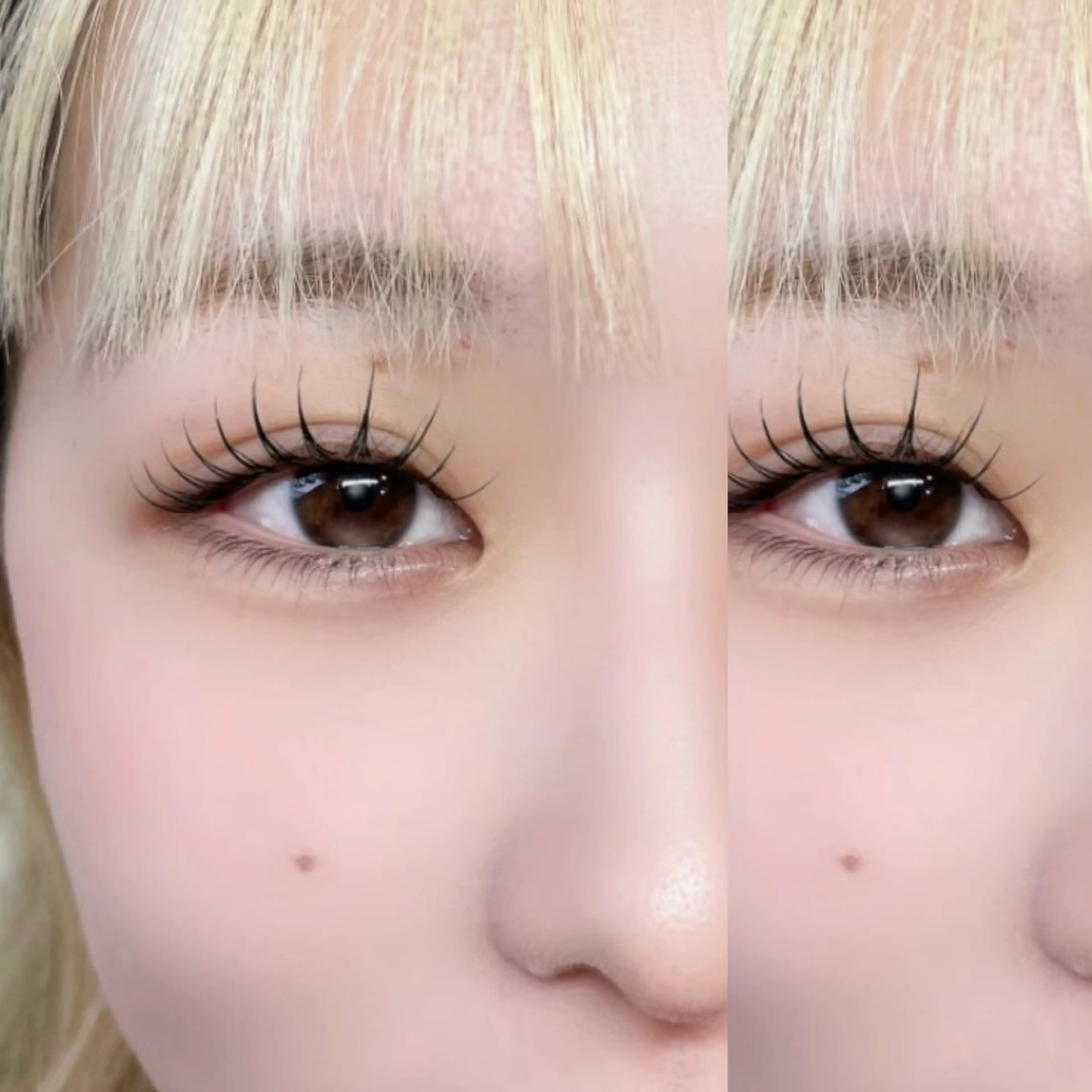 【🩰期間限定🩰】パリジェンヌラッシュリフトの写真